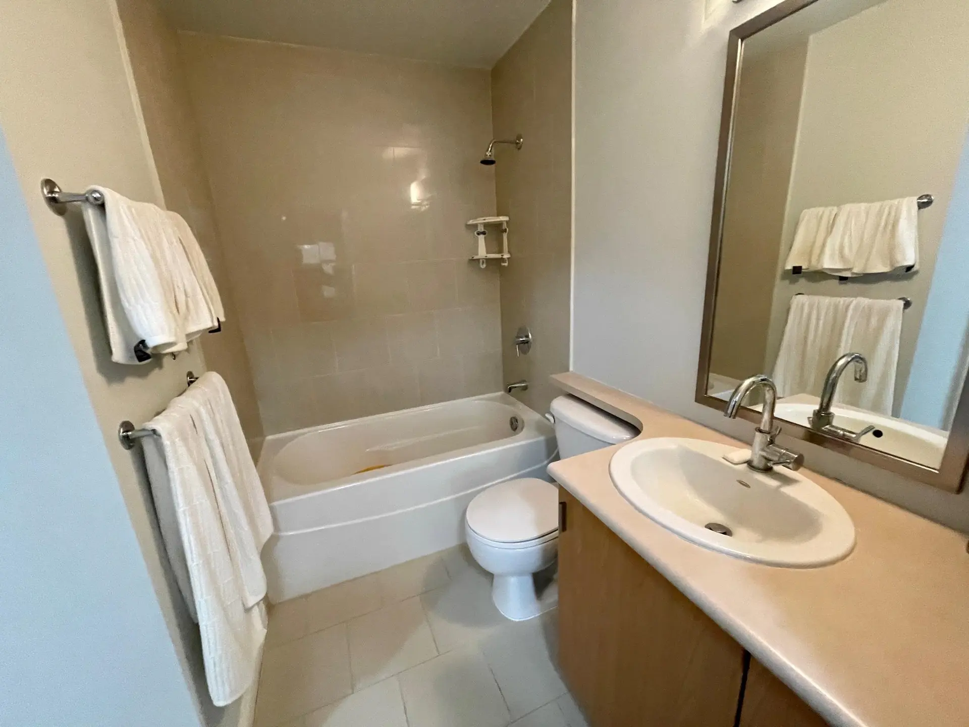 #58 6878 Southpoint Drive - Image 13