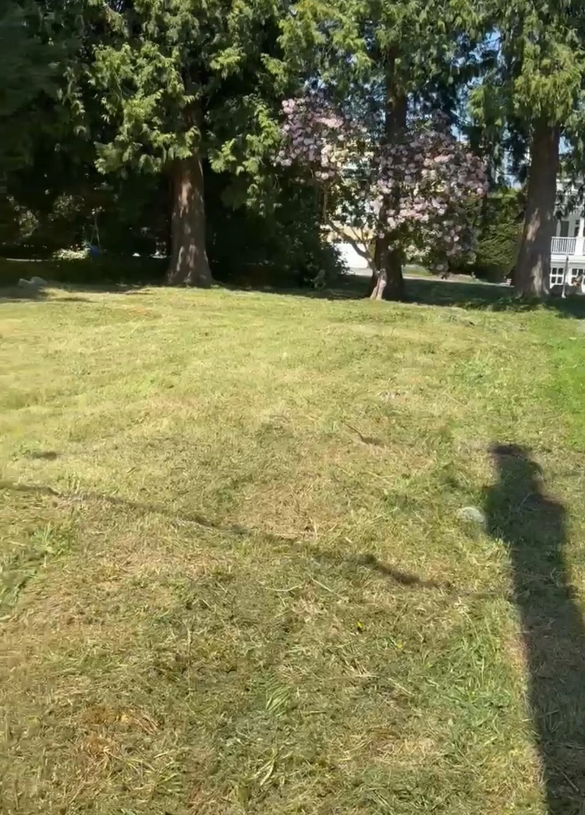 15482 Semiahmoo - Image 2