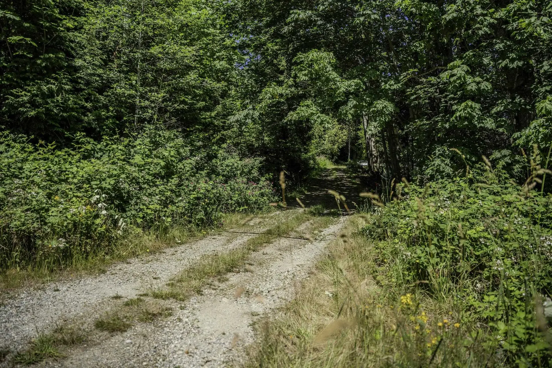 Property at 12882 STONE ROAD, Madeira Park, BC