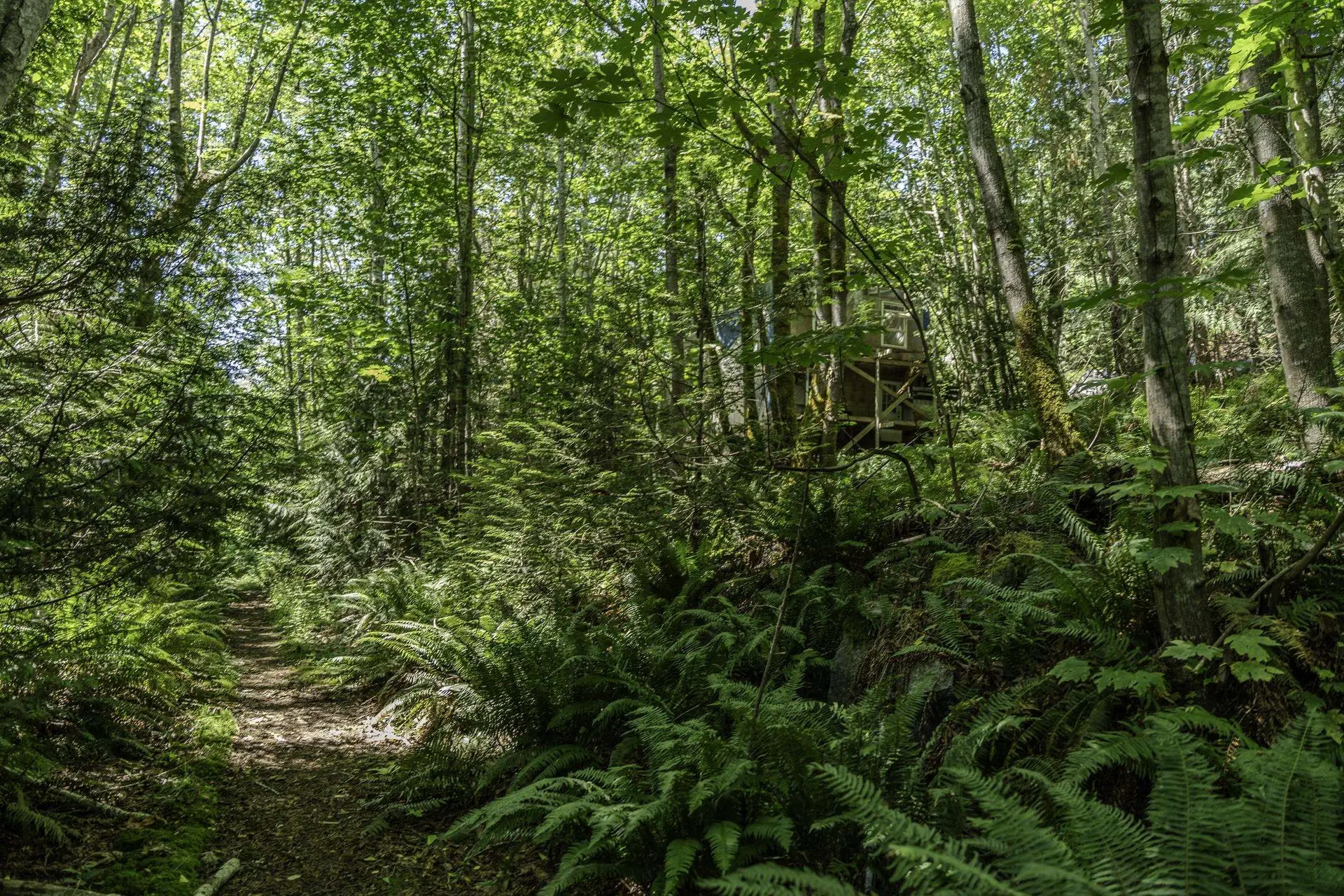 Property at 12882 STONE ROAD, Madeira Park, BC