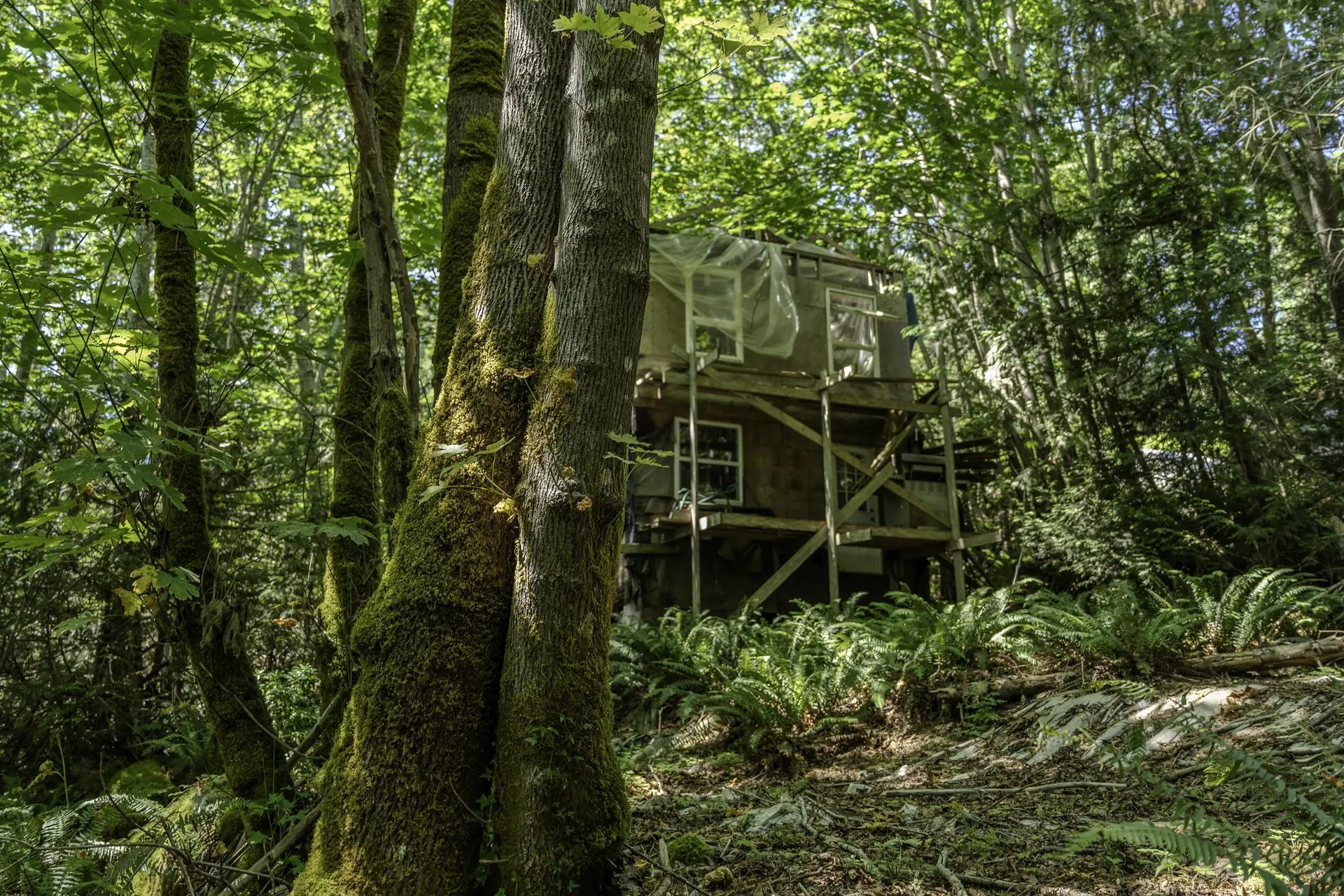 Property at 12882 STONE ROAD, Madeira Park, BC