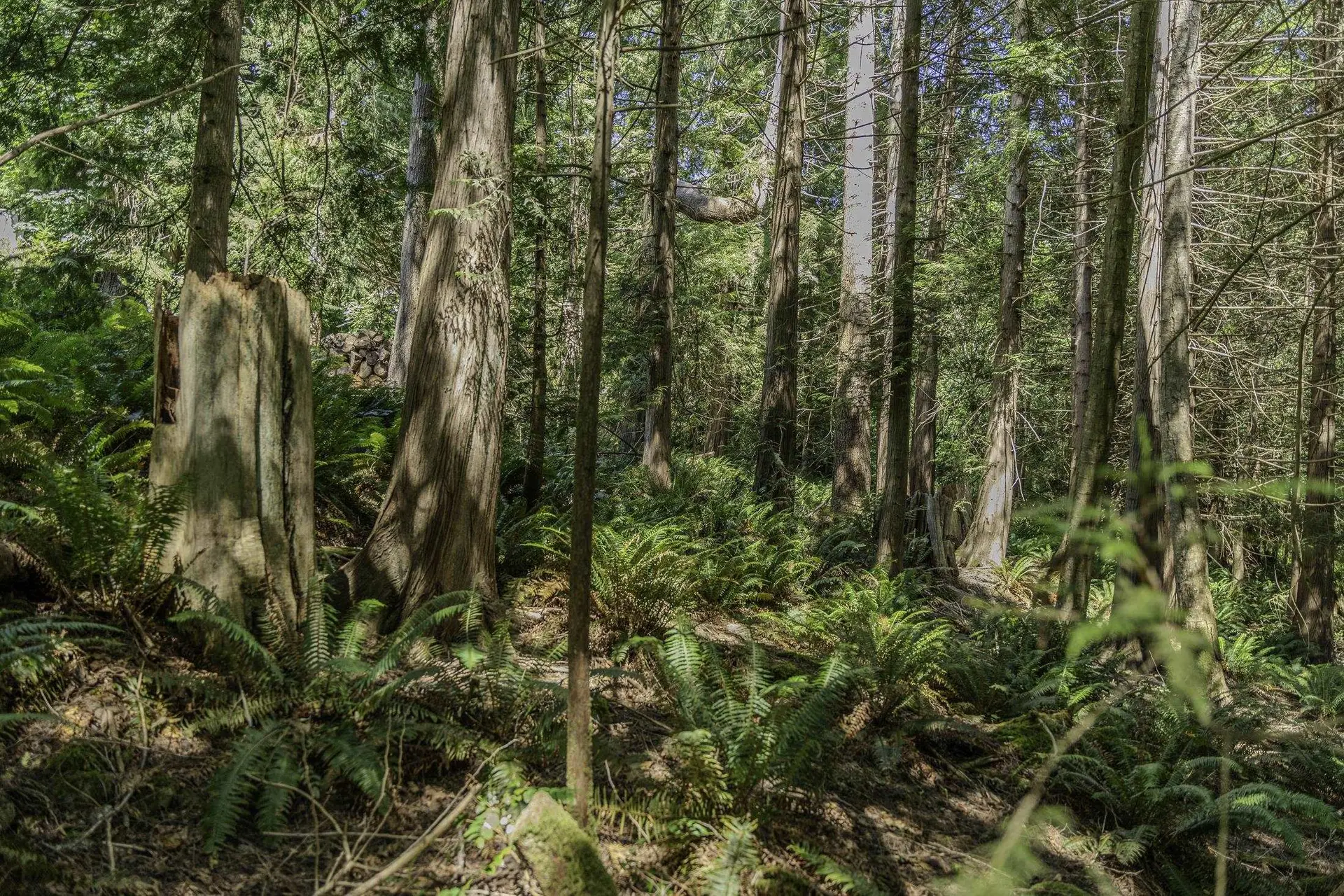 Property at 12882 STONE ROAD, Madeira Park, BC