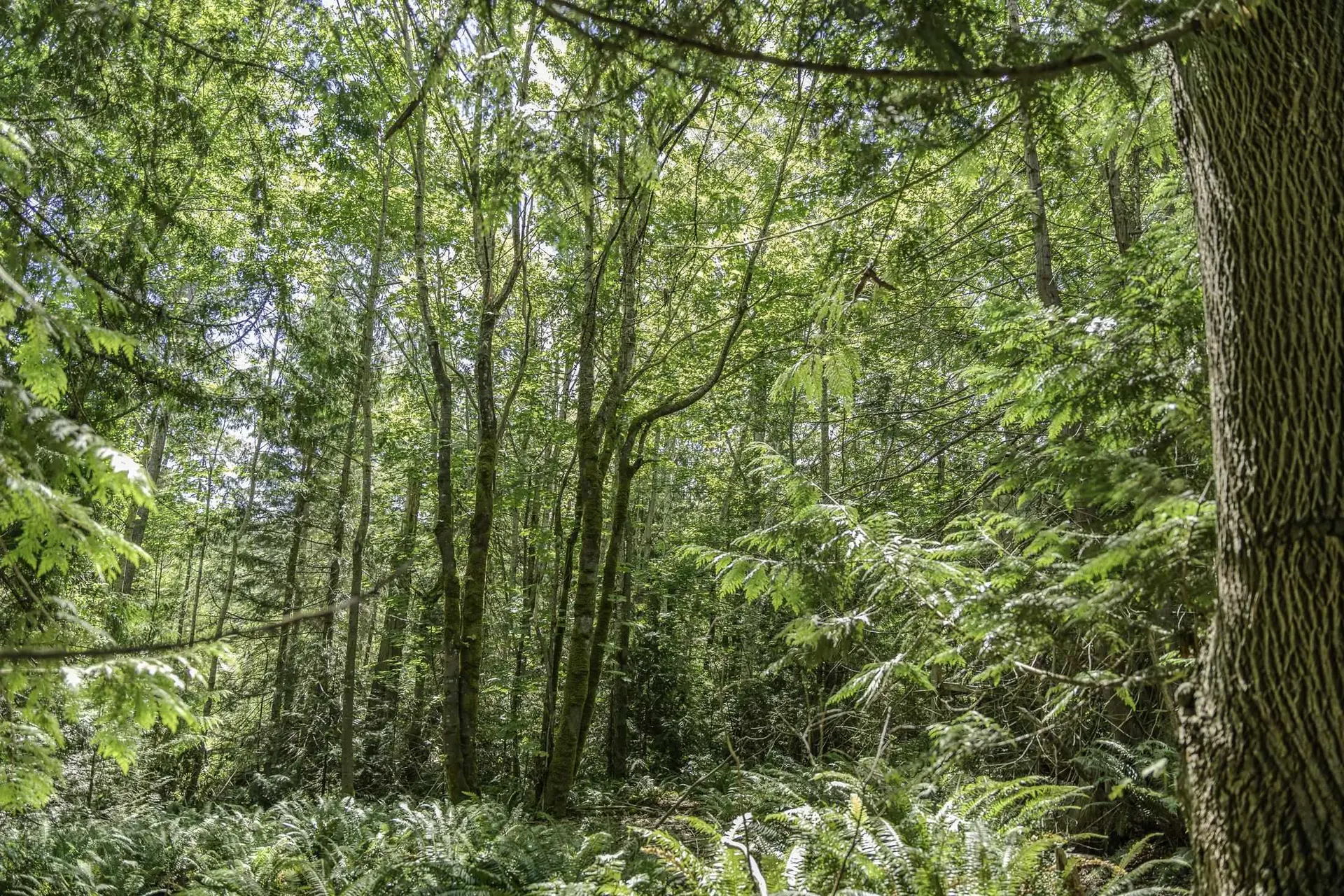 Property at 12882 STONE ROAD, Madeira Park, BC