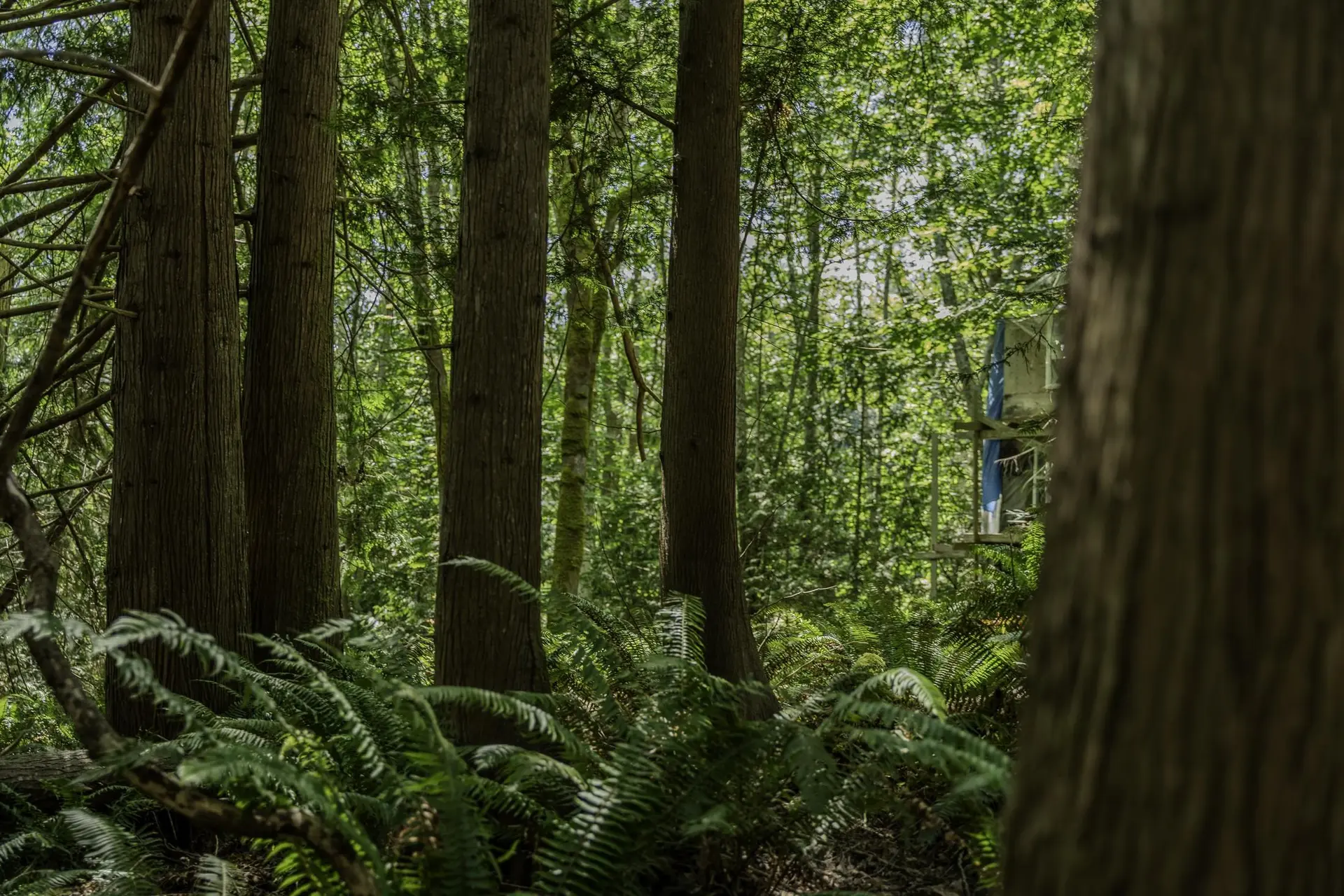 Property at 12882 STONE ROAD, Madeira Park, BC