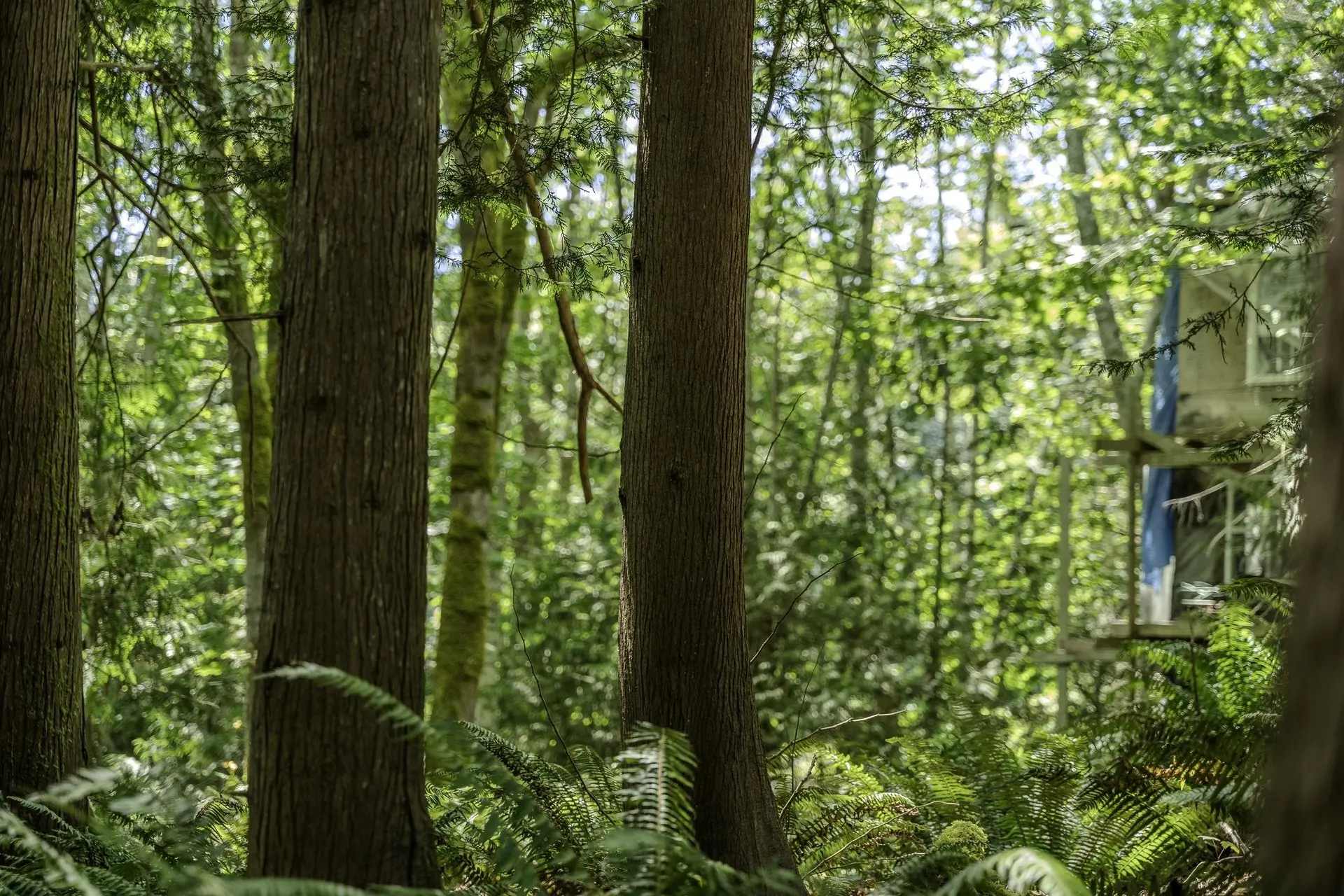 Property at 12882 STONE ROAD, Madeira Park, BC