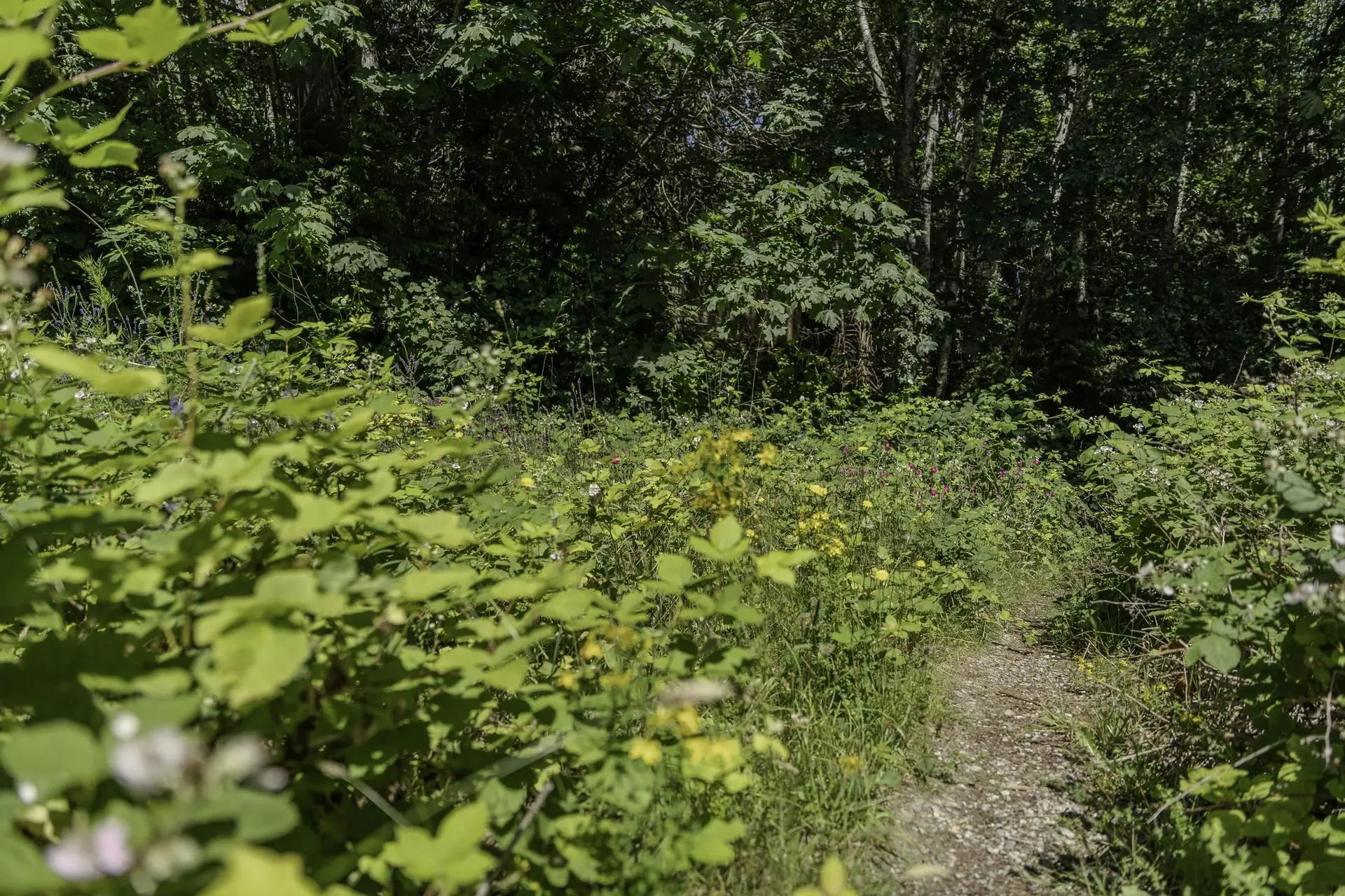 Property at 12882 STONE ROAD, Madeira Park, BC