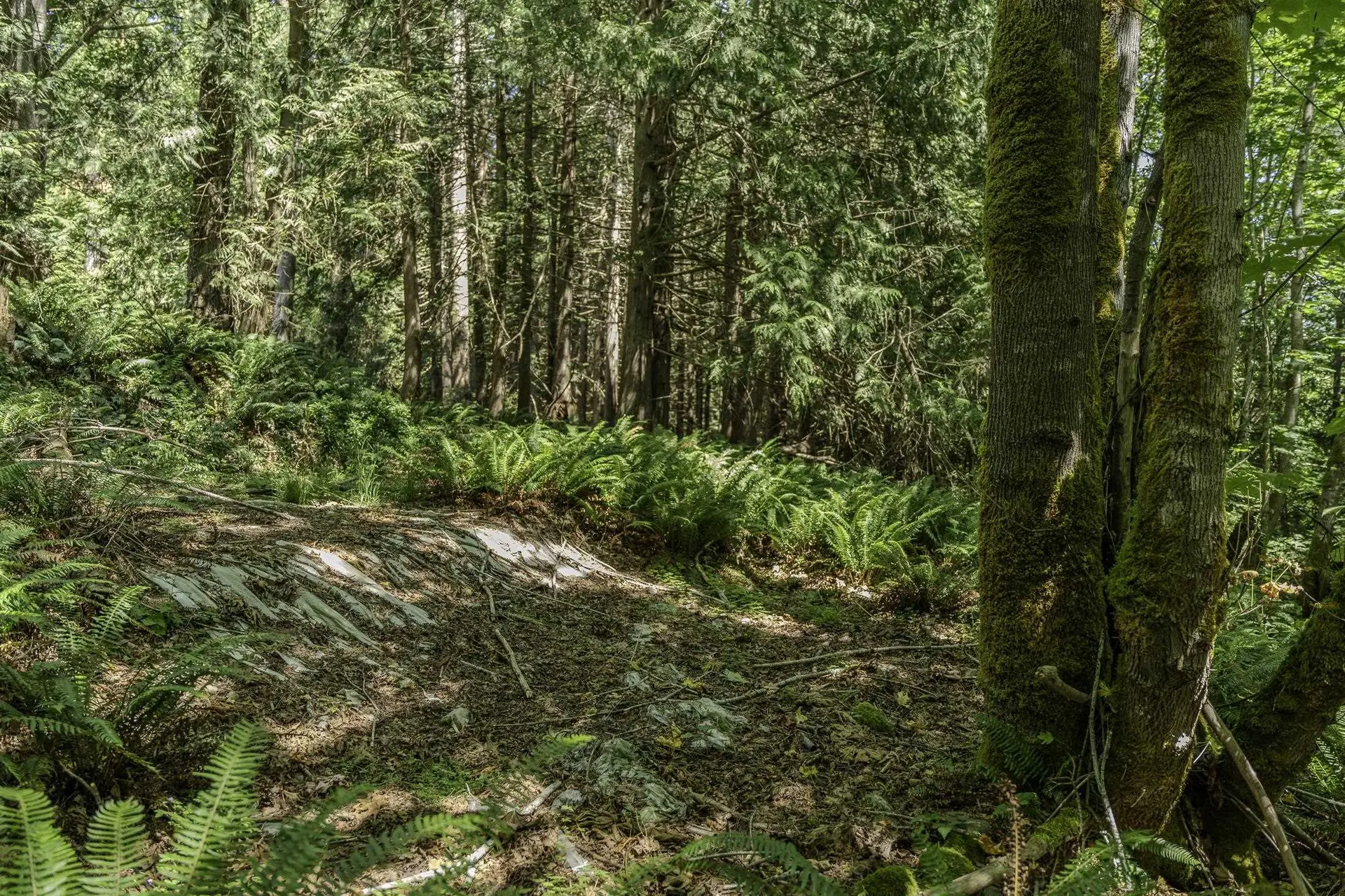 Property at 12882 STONE ROAD, Madeira Park, BC