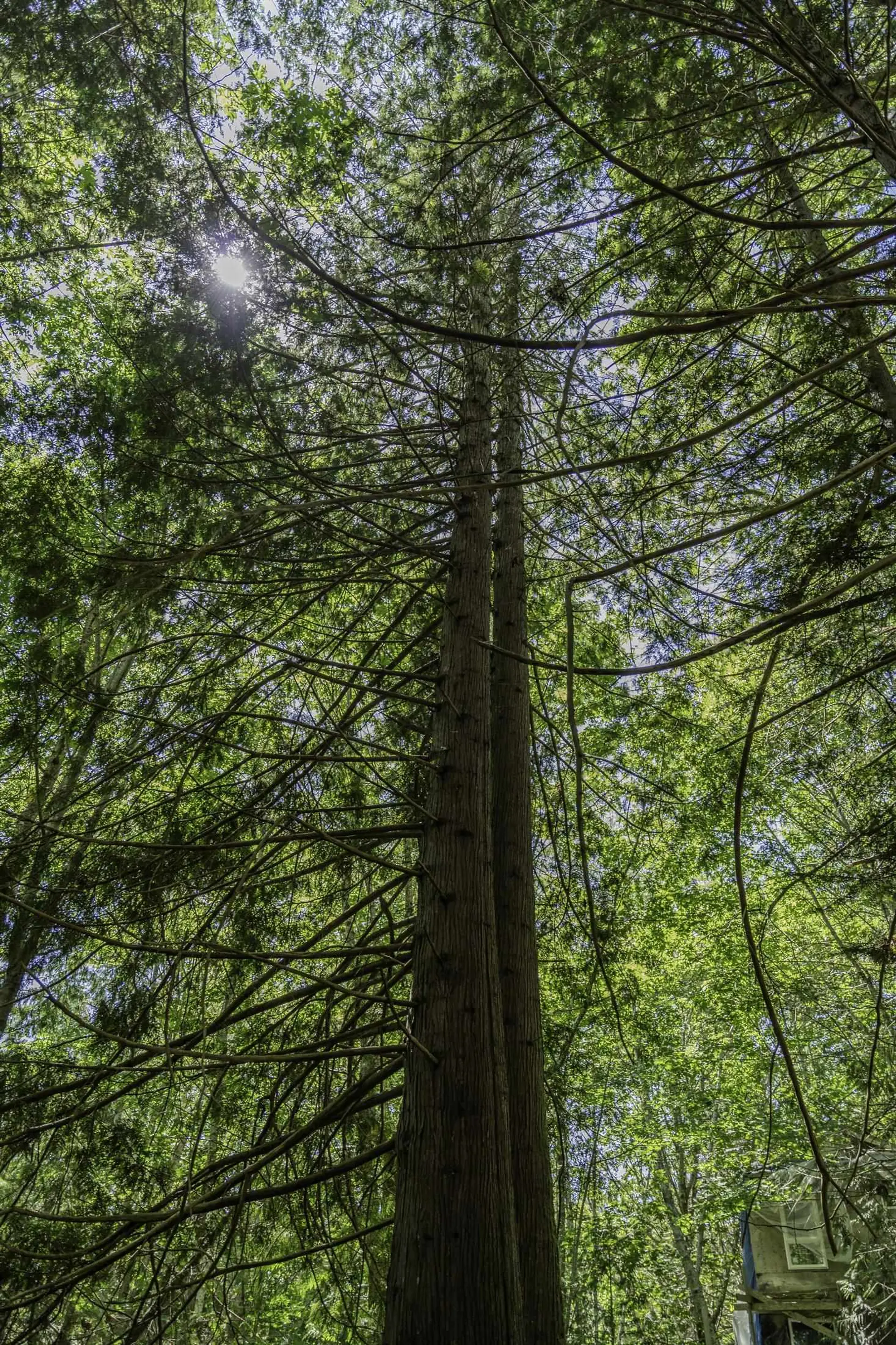 Property at 12882 STONE ROAD, Madeira Park, BC