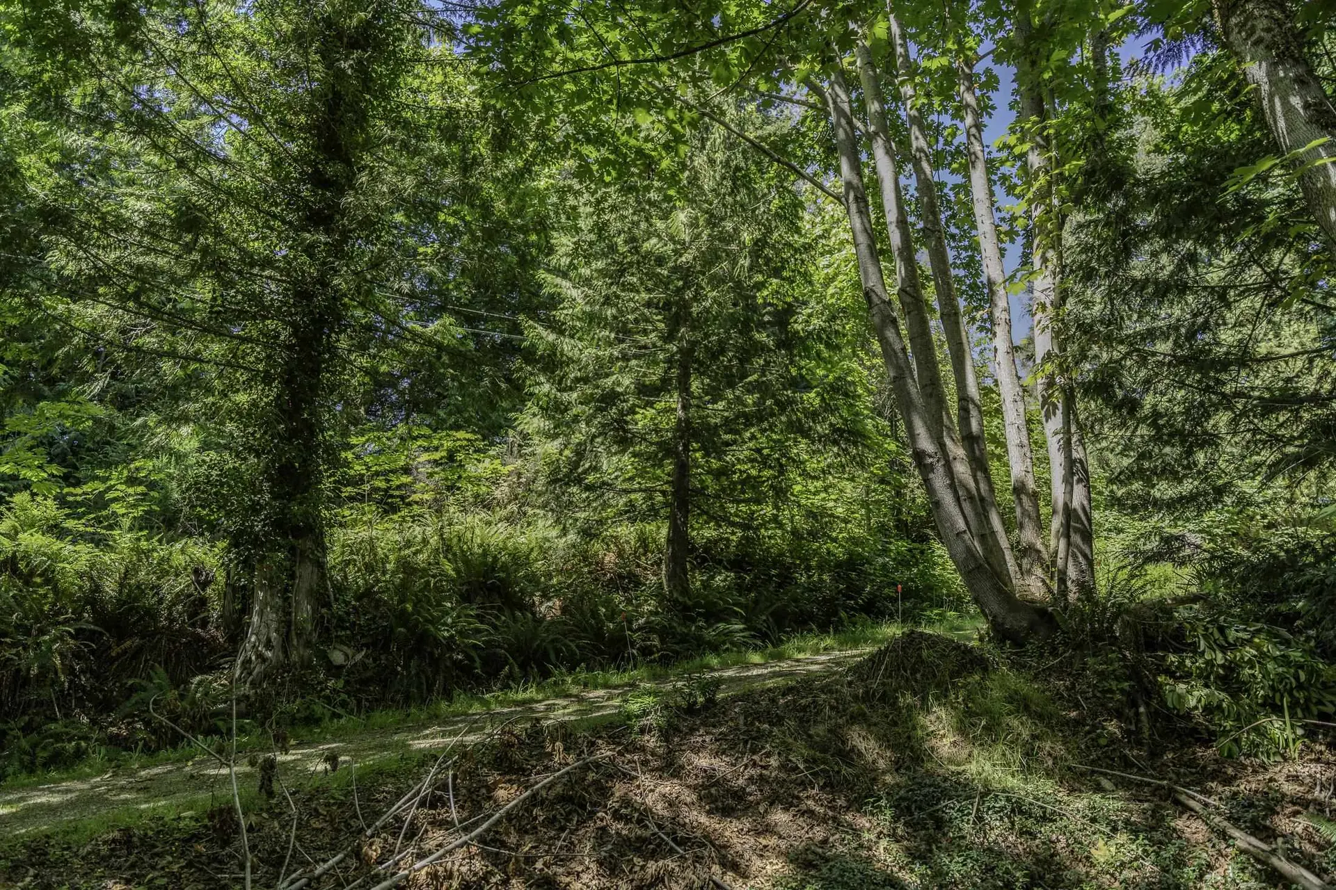 Property at 12882 STONE ROAD, Madeira Park, BC