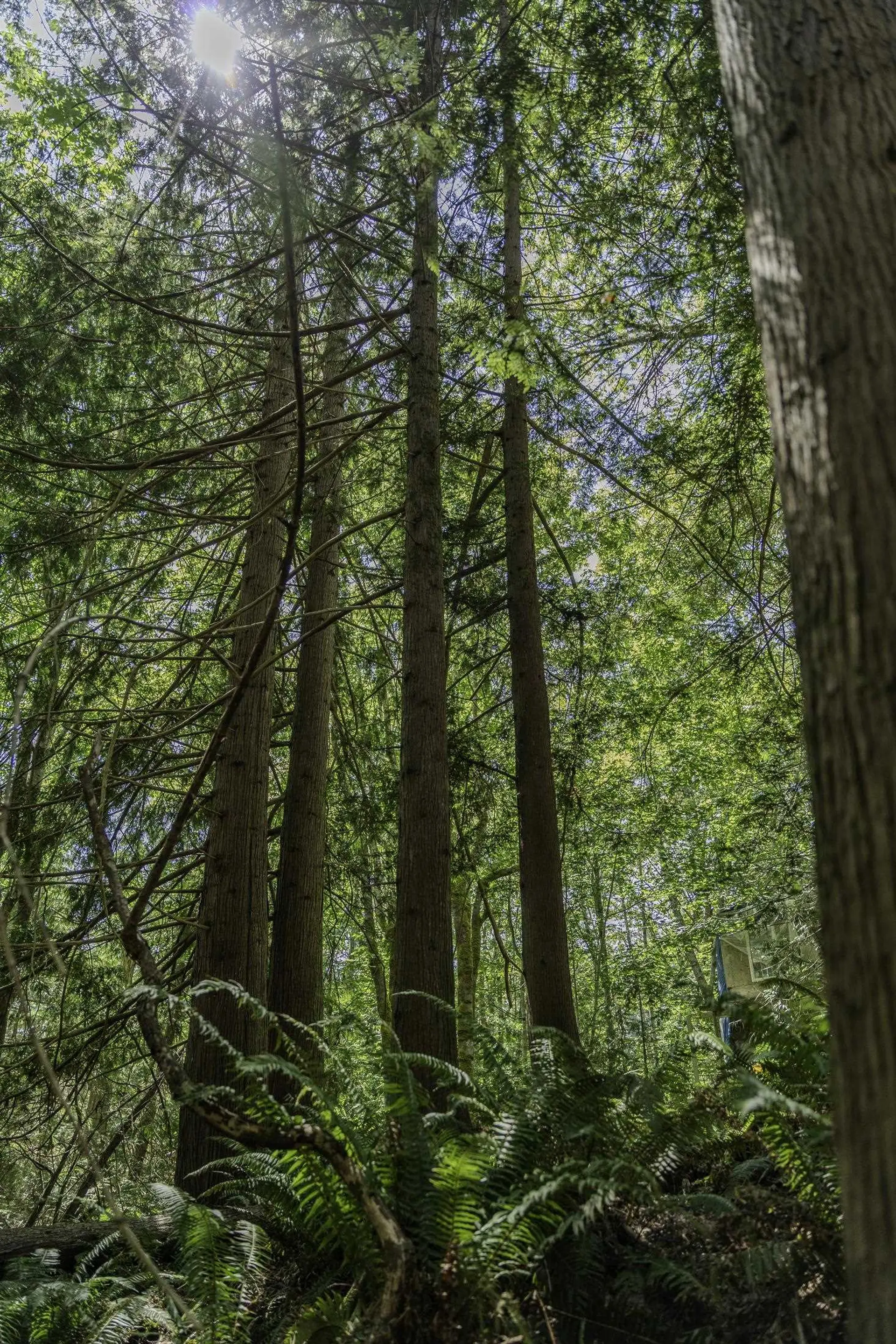 Property at 12882 STONE ROAD, Madeira Park, BC