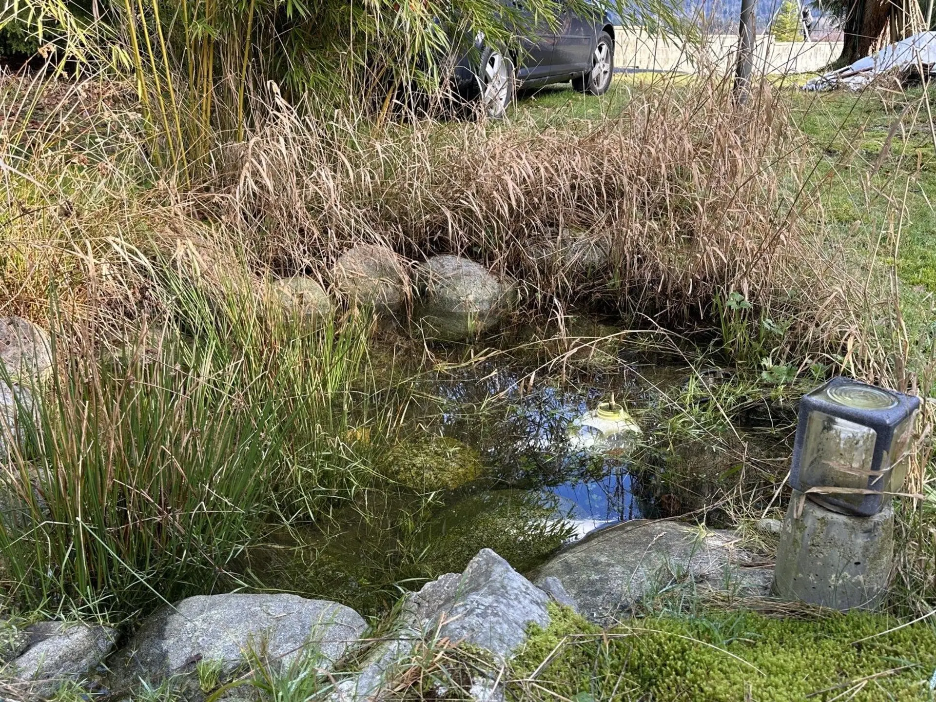 Property at 11191 STAVE LAKE ROAD, Mission, BC