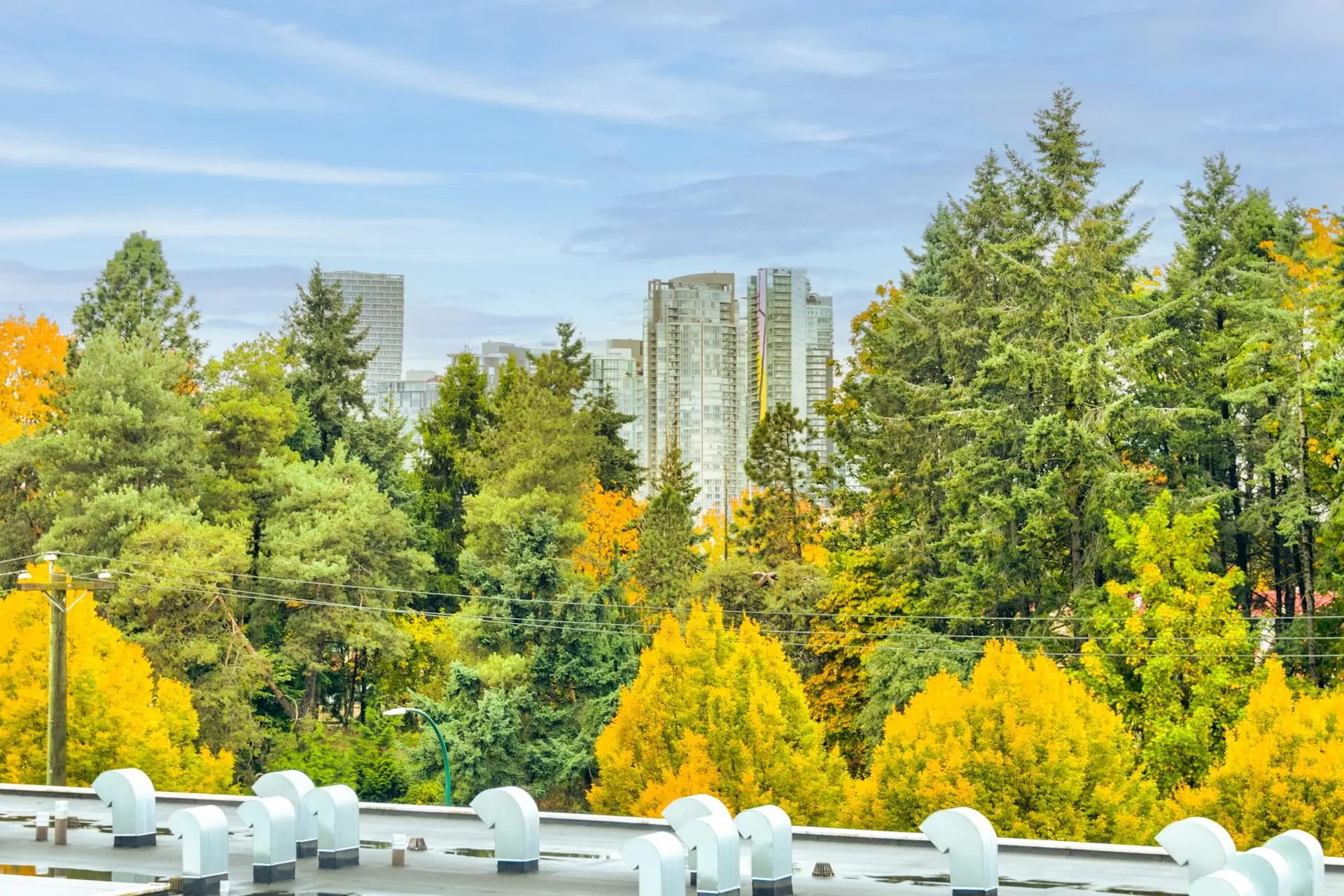 2222 Willow Street - Image 3
