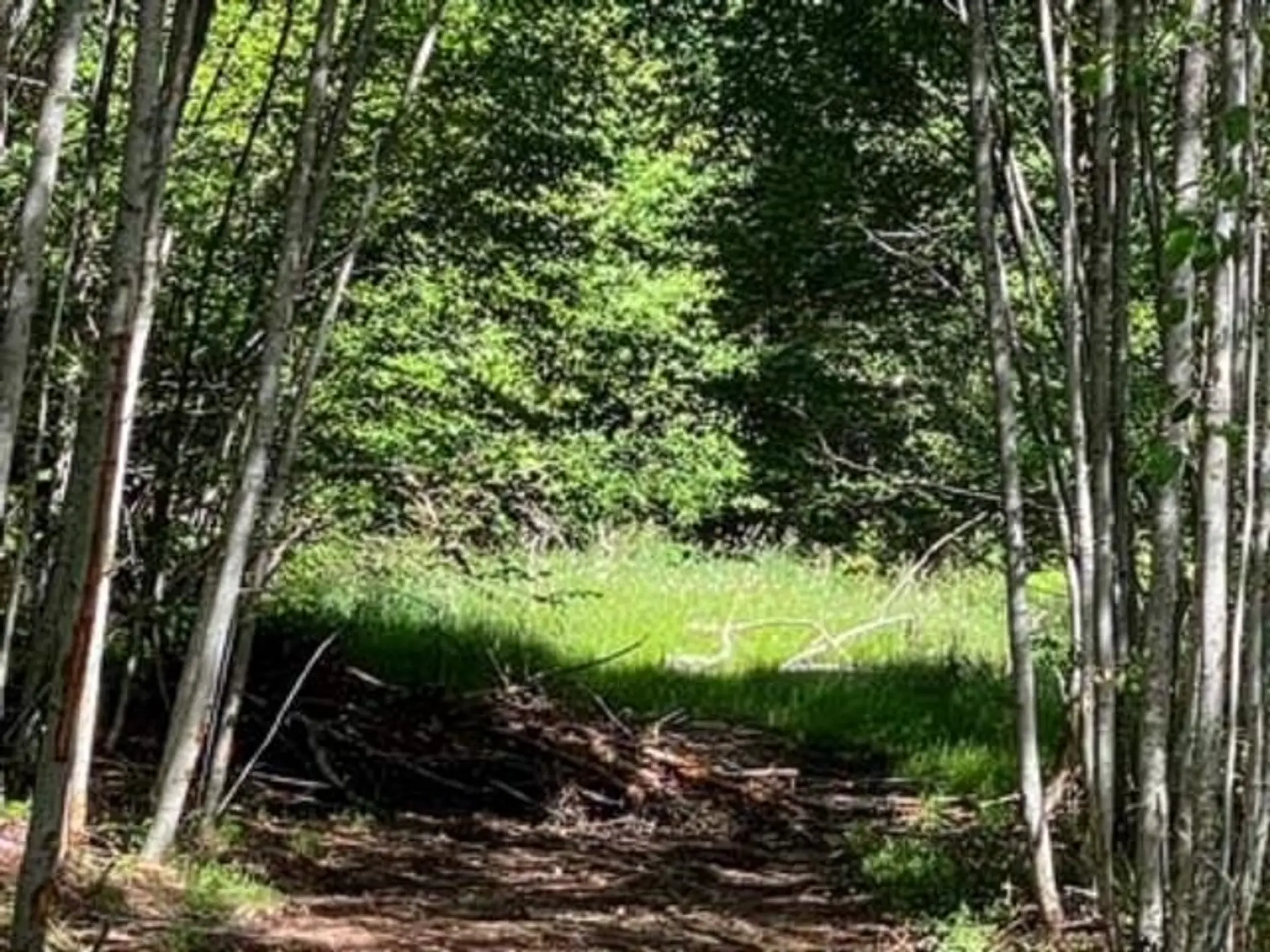 Property at LOT 06 CUDMORE ROAD, Salt Spring Island, BC