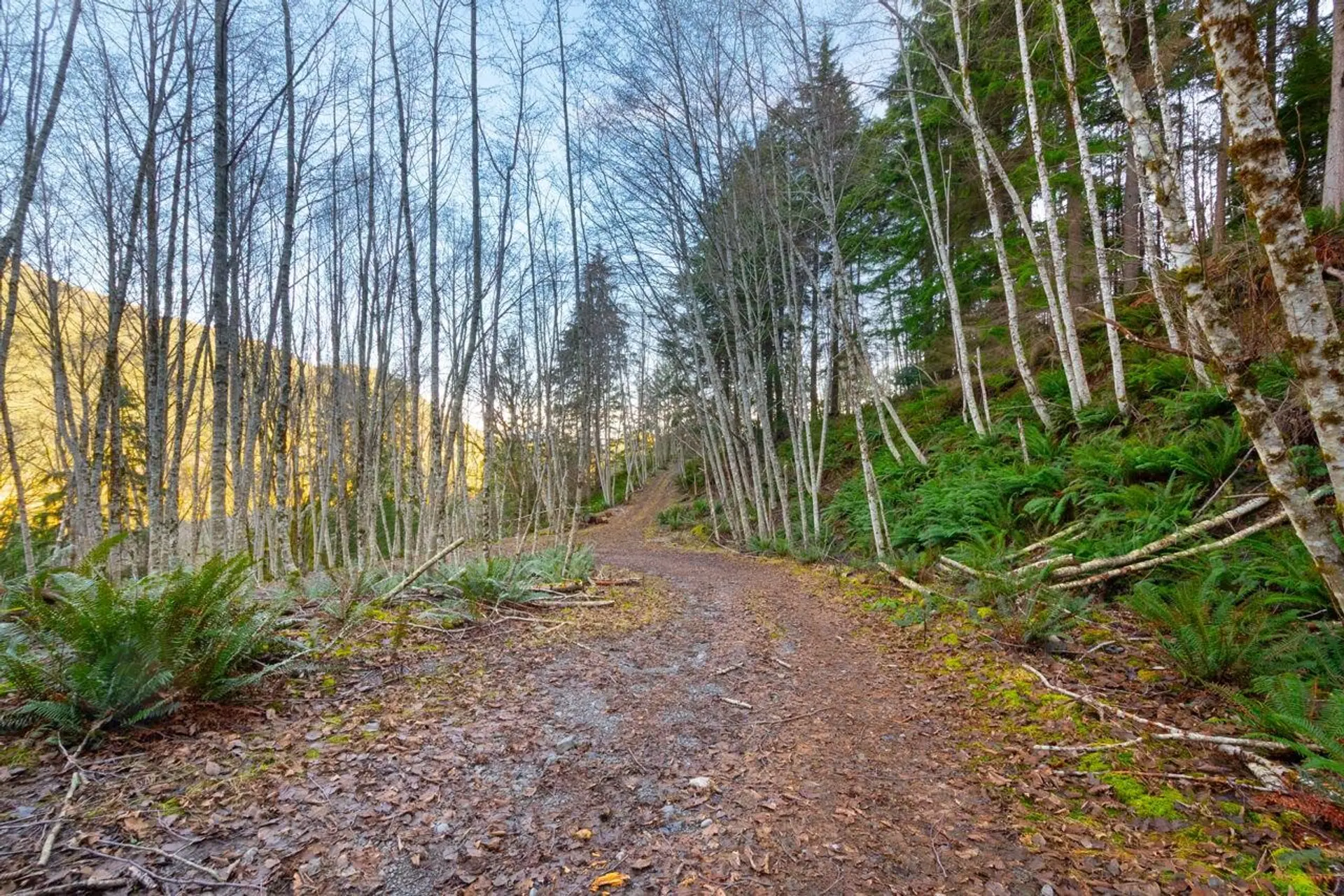 Property at 1049 GRAFTON ROAD, Bowen Island, BC