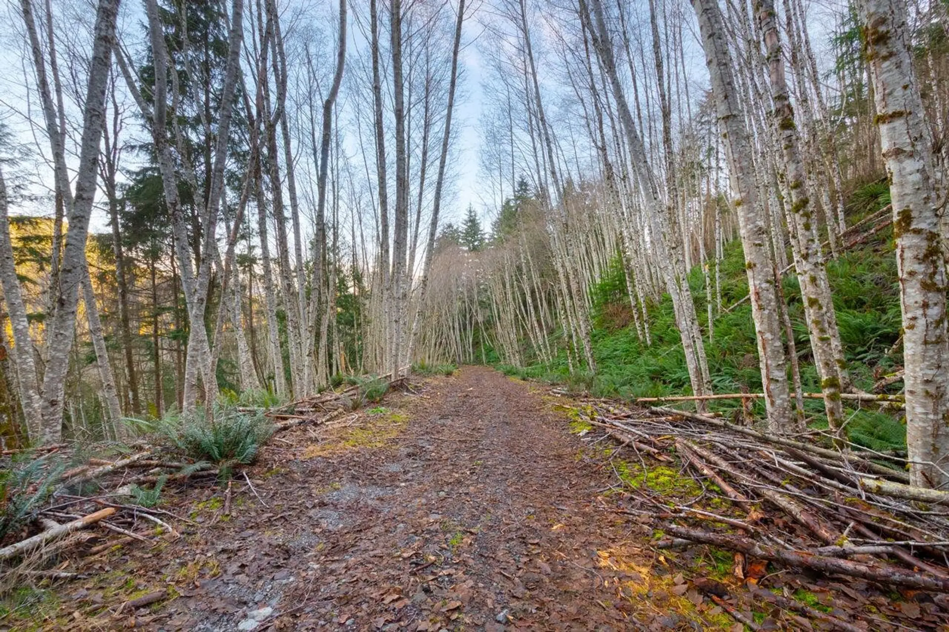 Property at 1049 GRAFTON ROAD, Bowen Island, BC