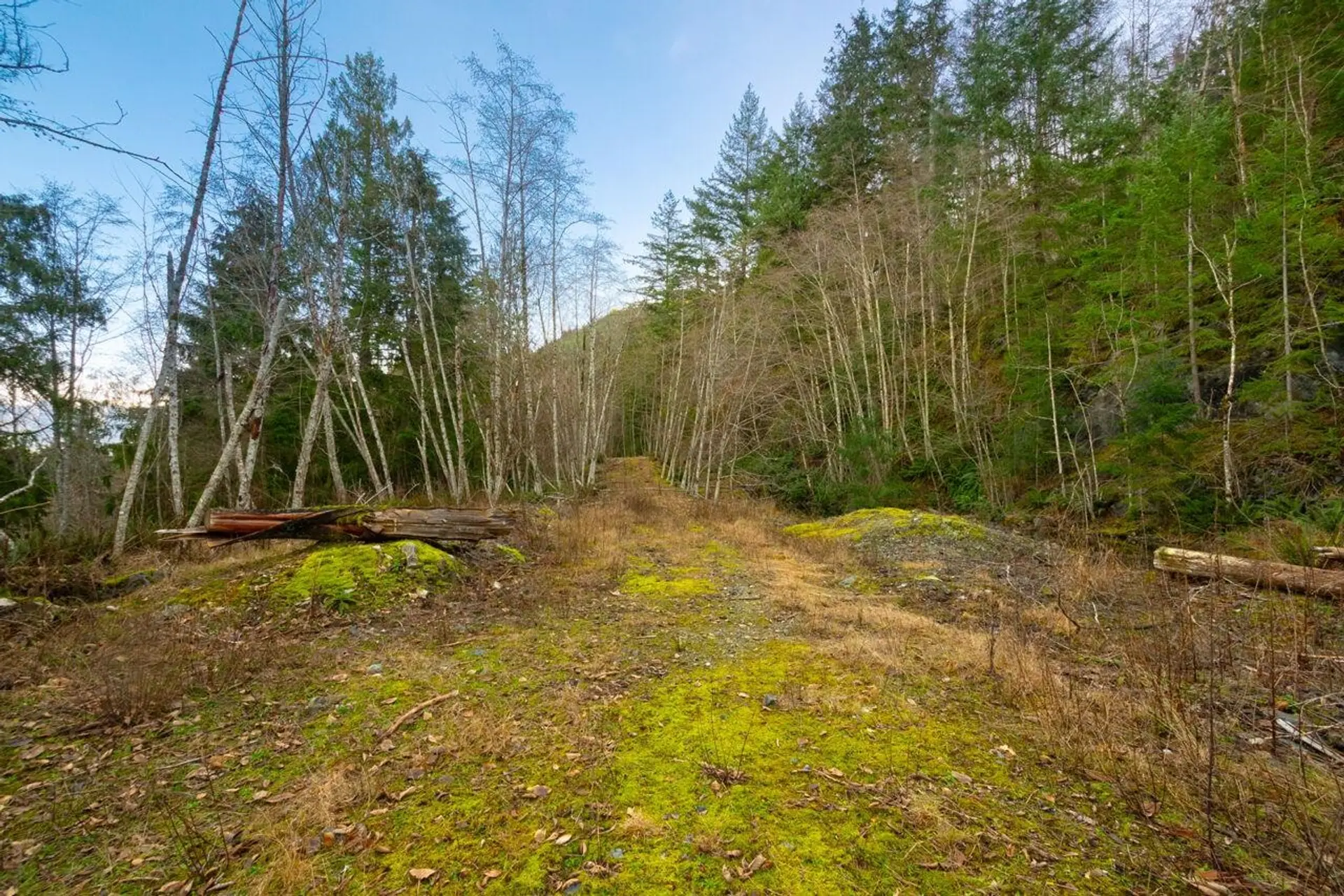 Property at 1049 GRAFTON ROAD, Bowen Island, BC