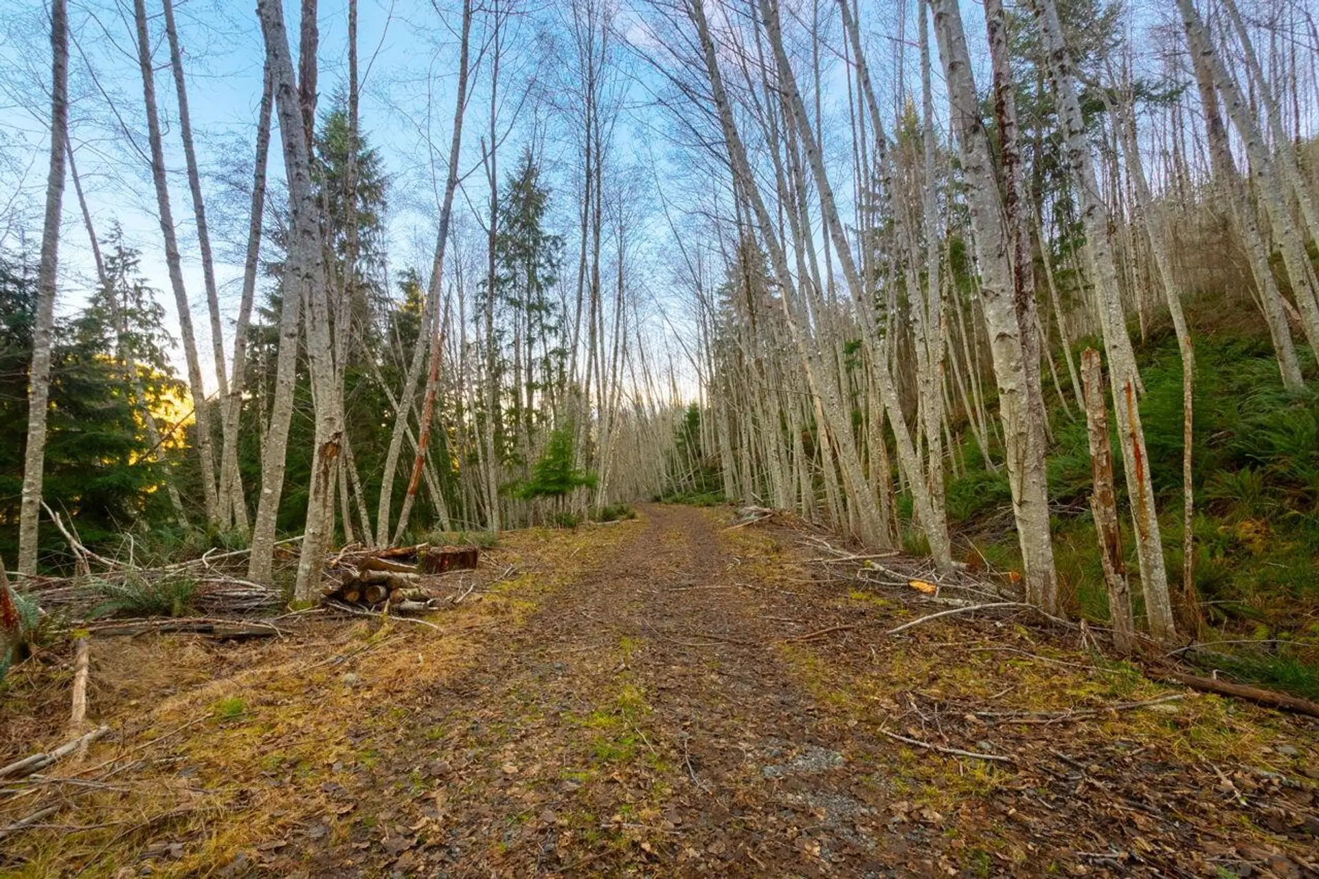 Property at 1049 GRAFTON ROAD, Bowen Island, BC