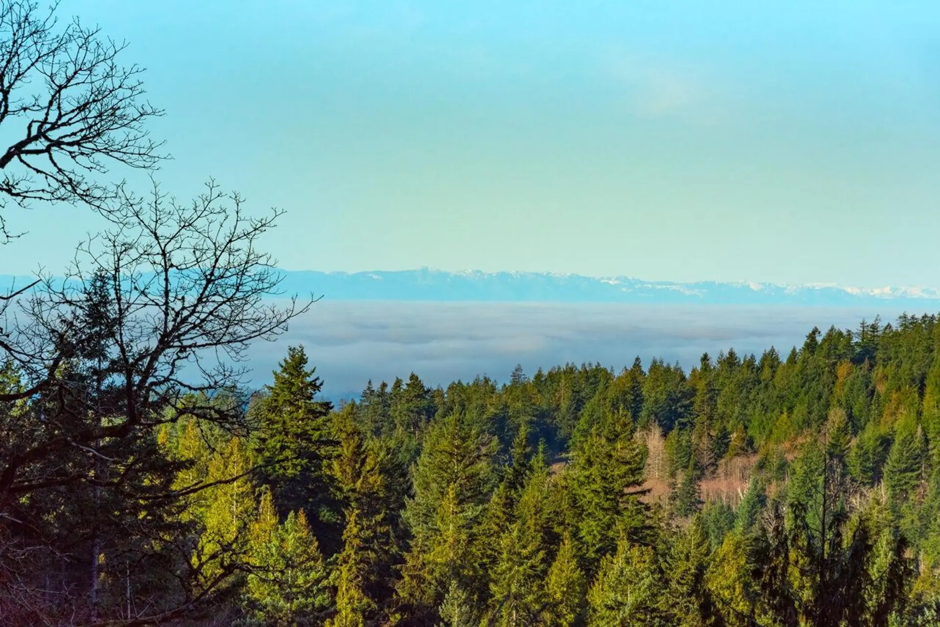 Property at 1049 GRAFTON ROAD, Bowen Island, BC