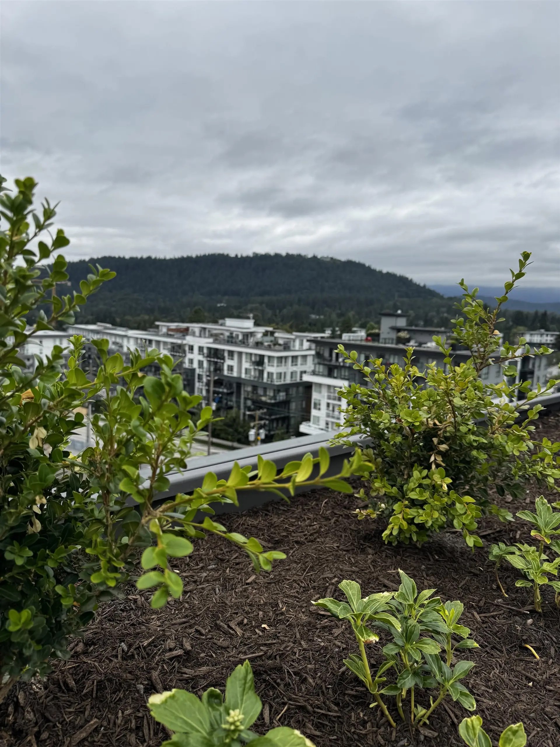 Property at #307 723 GROVER AVENUE, Coquitlam, BC