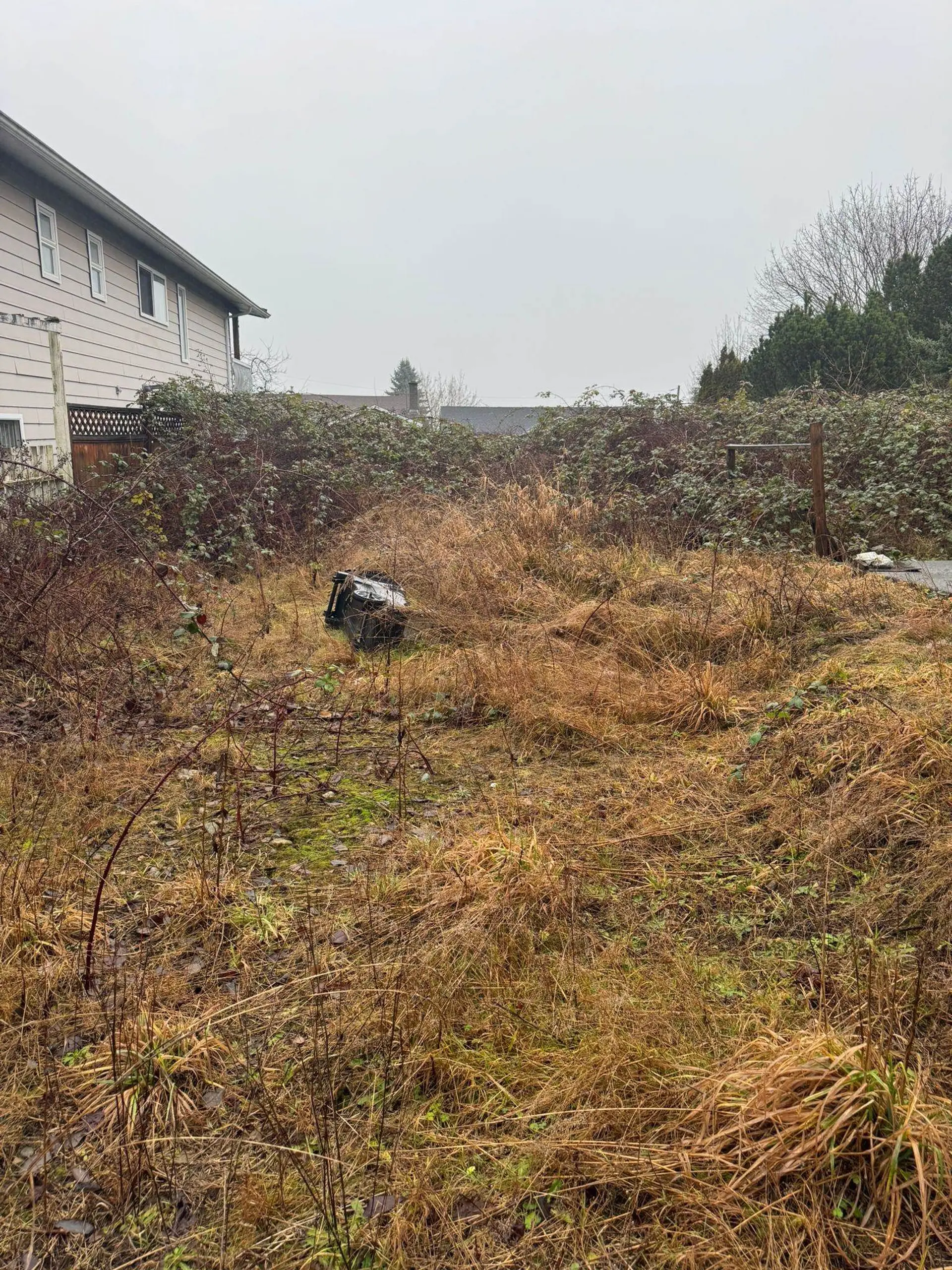 4811 MAITLAND STREET - Image 3