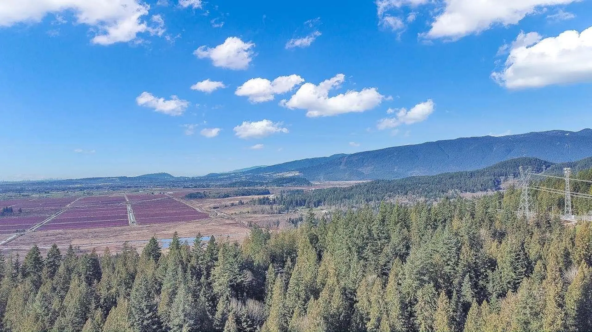 Property at 23215 141 AVENUE, Maple Ridge, BC