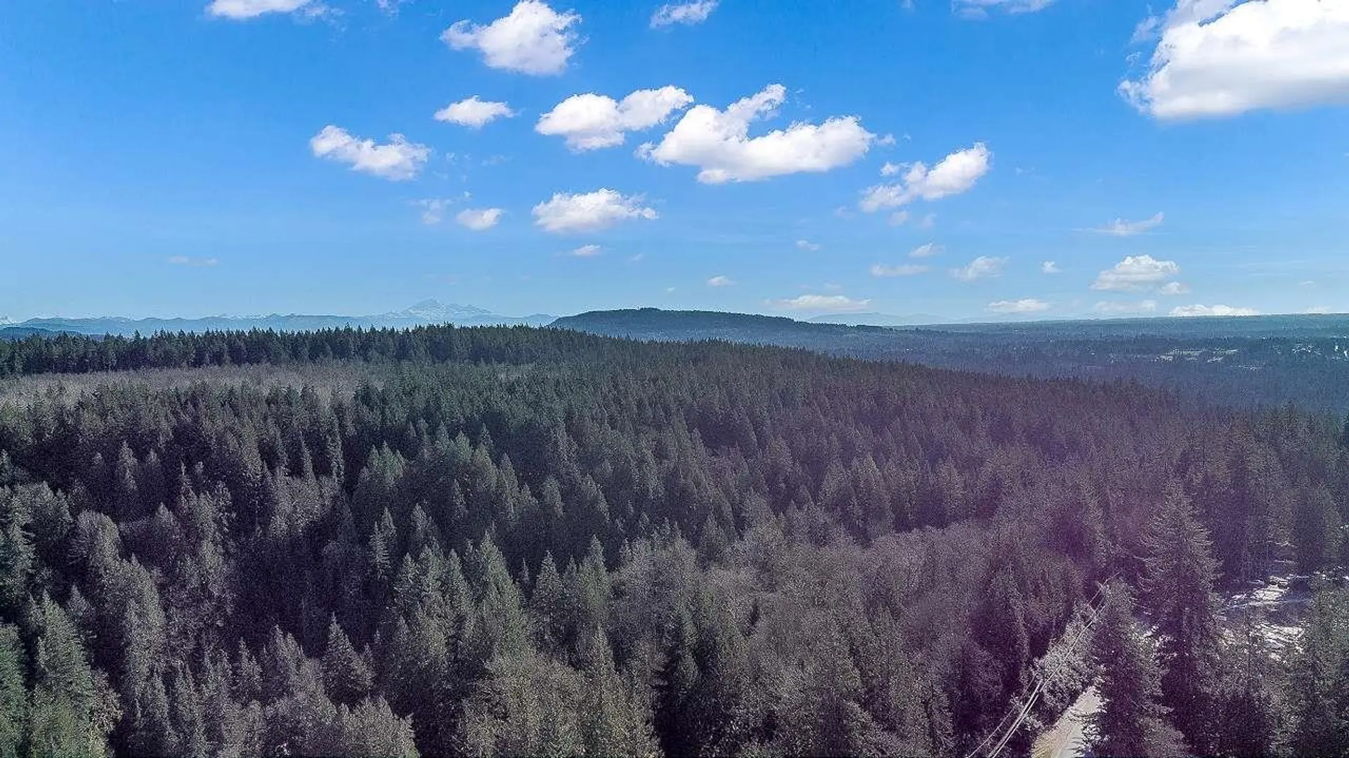 Property at 23215 141 AVENUE, Maple Ridge, BC