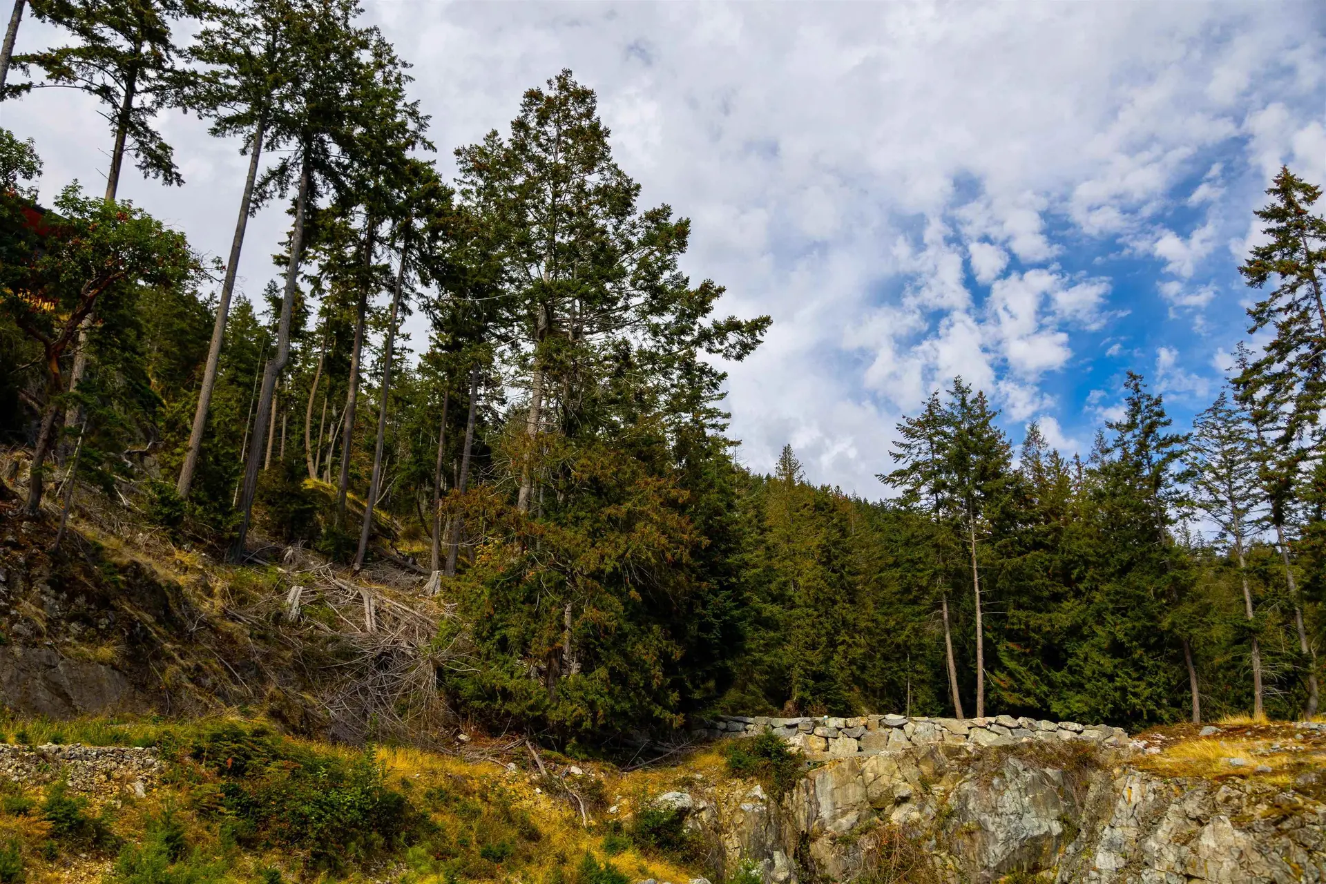 Property at 266 SHORE LANE, Bowen Island, BC