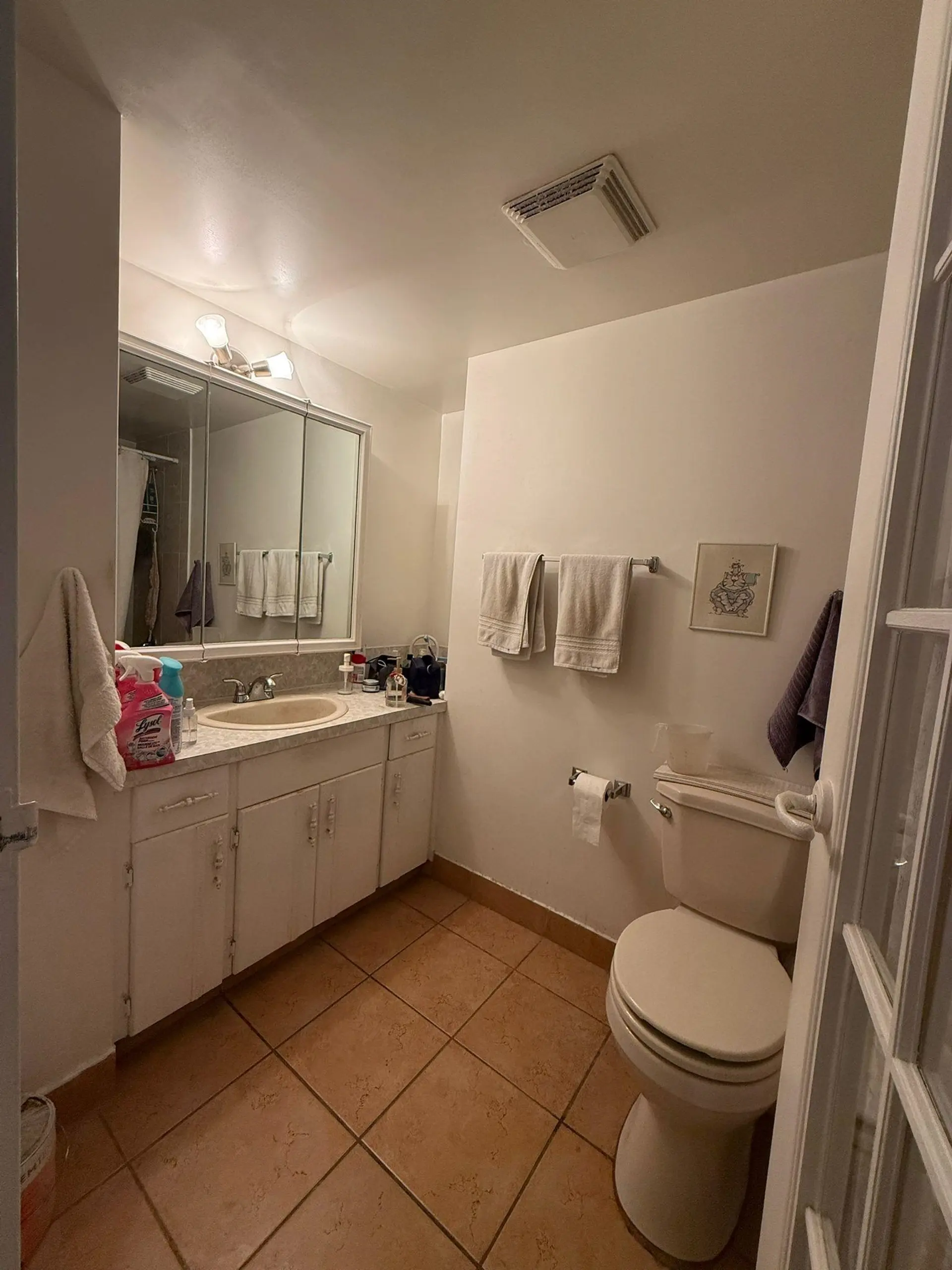 Property at #305 620 EIGHT AVENUE, New Westminster, BC