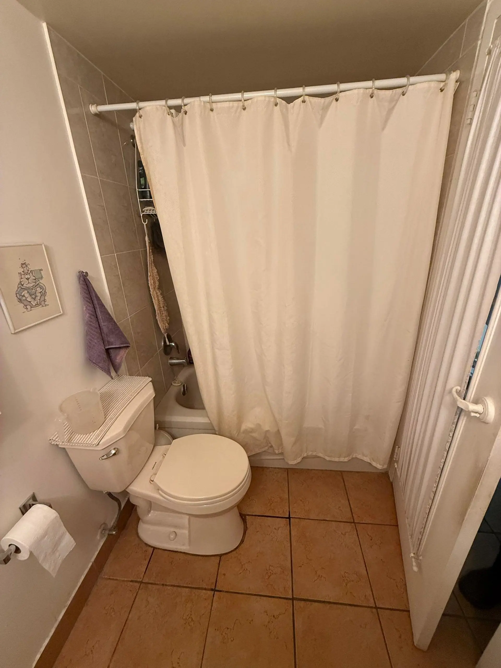 Property at #305 620 EIGHT AVENUE, New Westminster, BC