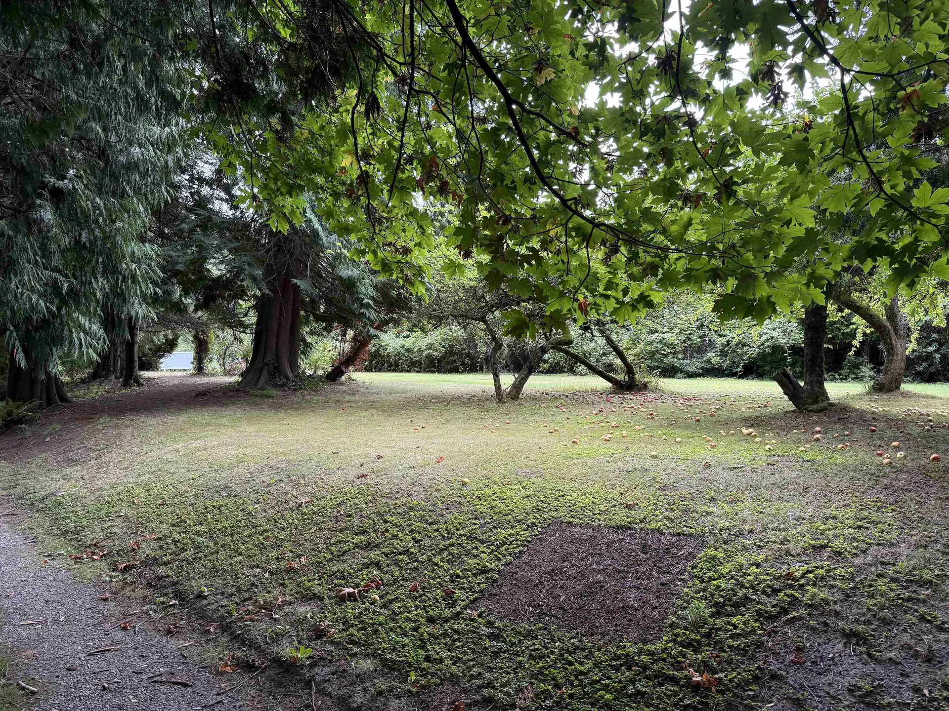 Property at 16203 8 AVENUE, Surrey, BC