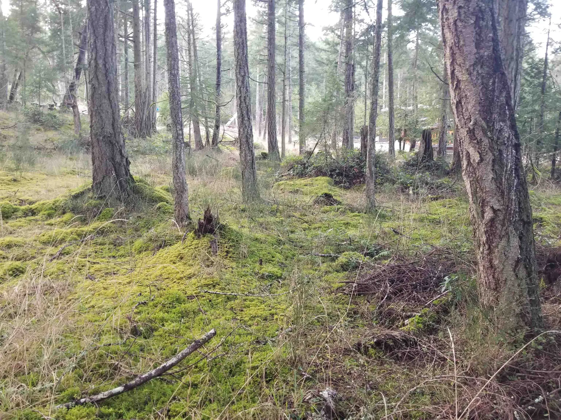 Property at 118 BURRILL ROAD, Galiano Island, BC