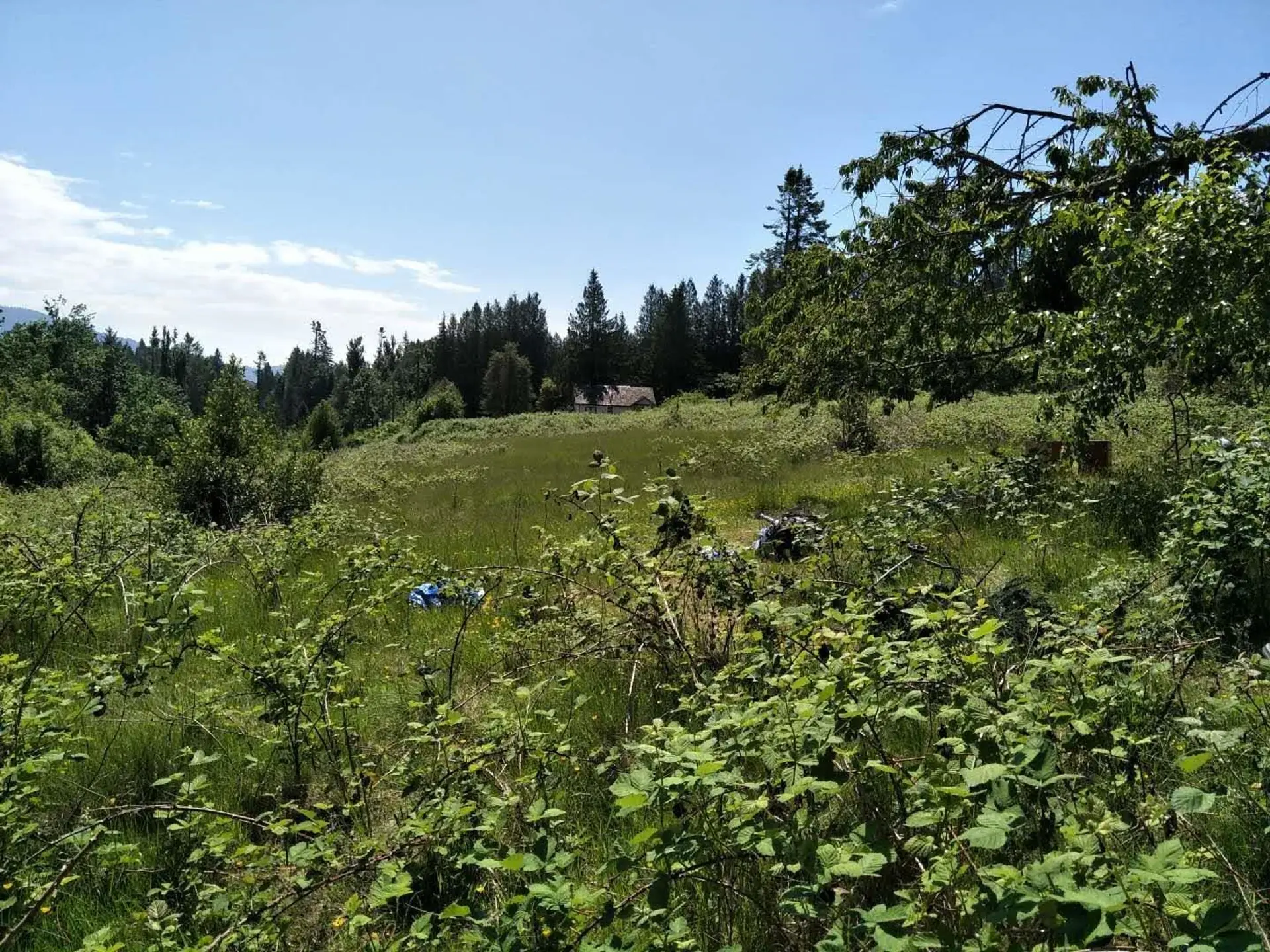 Property at 8980 EDWARDS STREET, Mission, BC