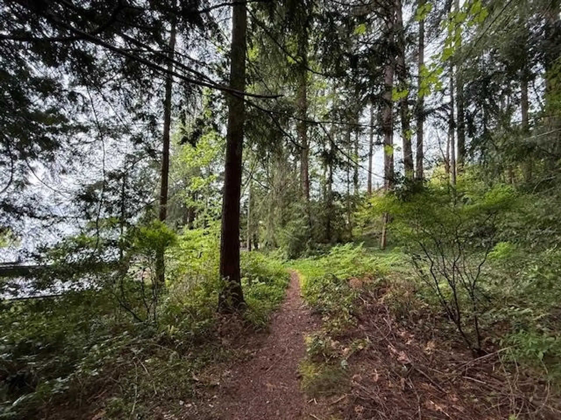 Property at LOT 10 ELPHINSTONE AVENUE, Gibsons, BC