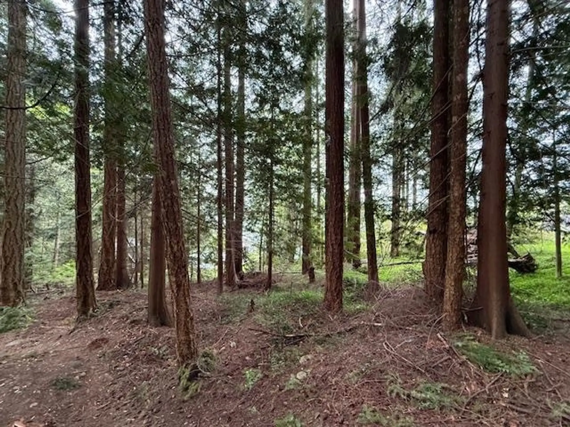 Property at LOT 10 ELPHINSTONE AVENUE, Gibsons, BC