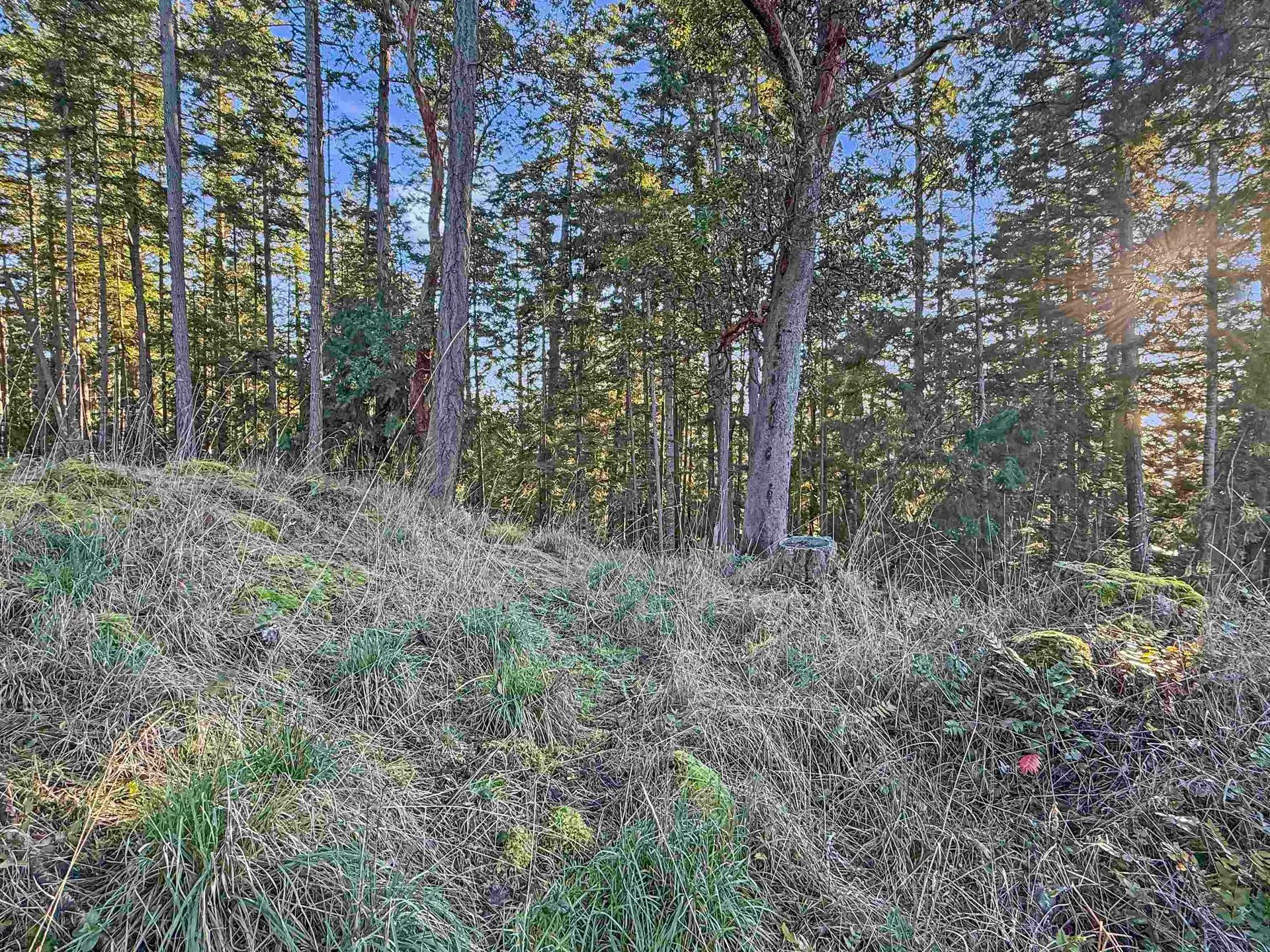 Property at 1609 SCHOONER WAY, Pender Island, BC