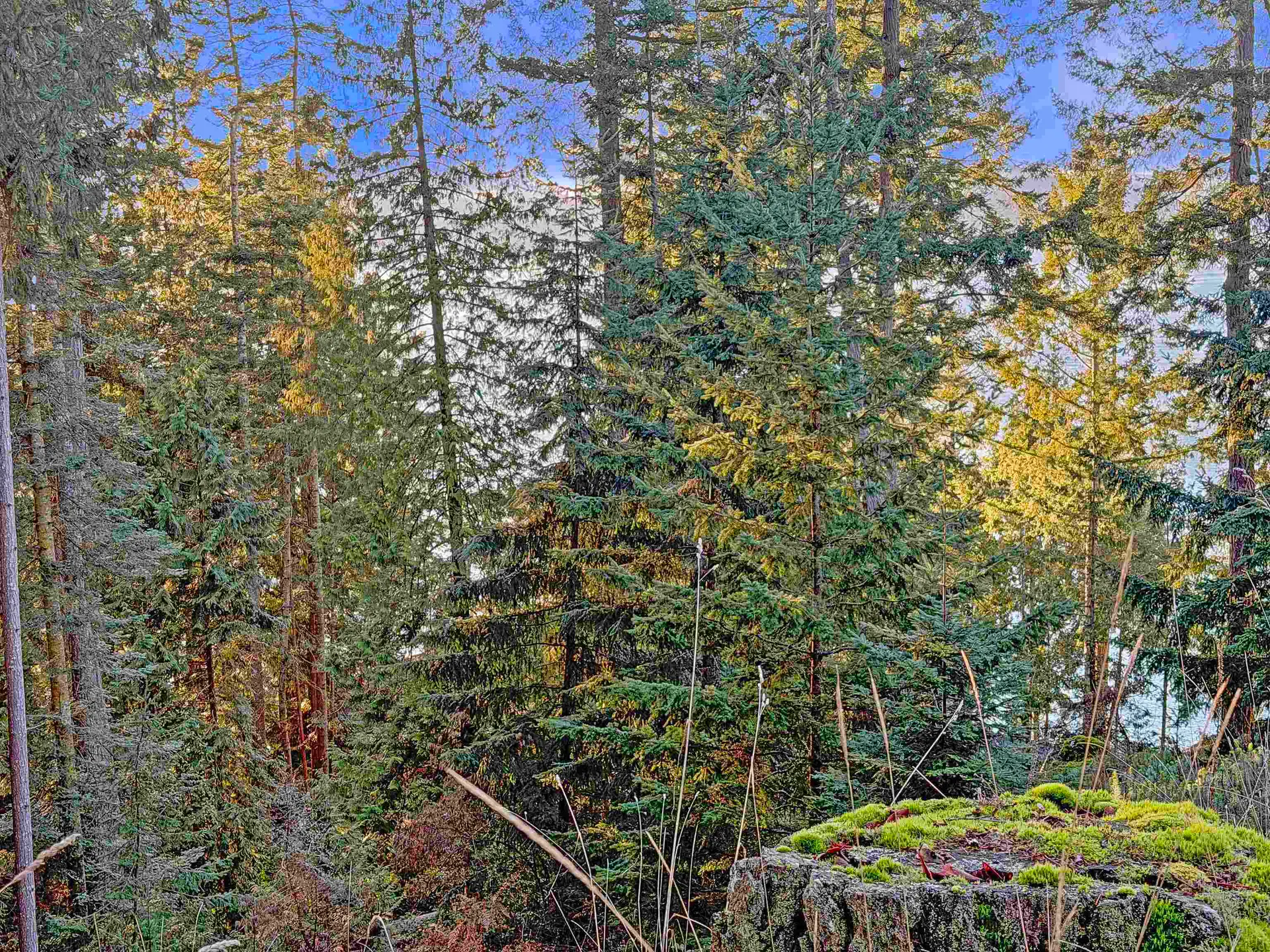 Property at 1609 SCHOONER WAY, Pender Island, BC