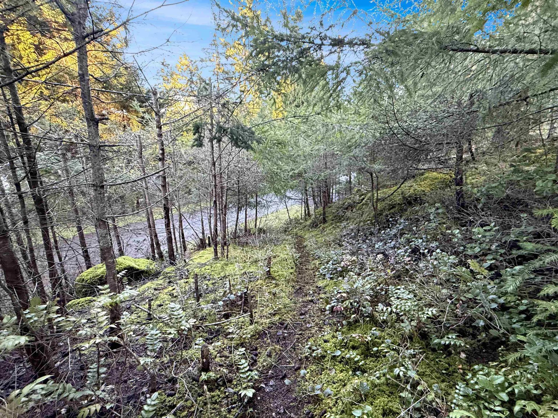 Property at 1609 SCHOONER WAY, Pender Island, BC