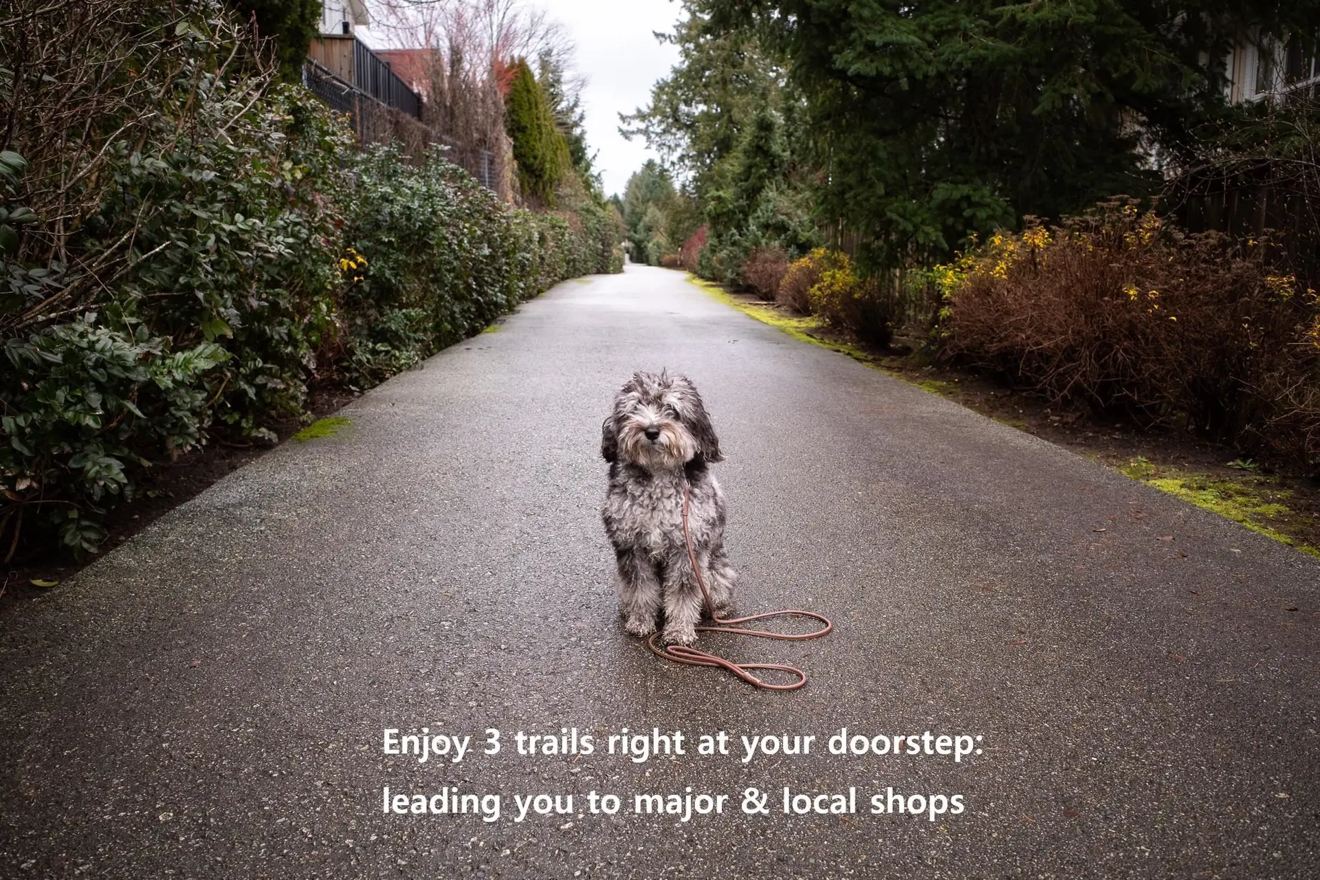 Property at #A200 20087 68 AVENUE, Langley, BC