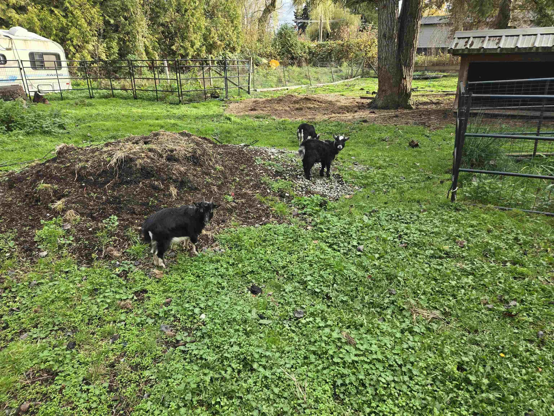 Property at 2617 208 STREET, Langley, BC