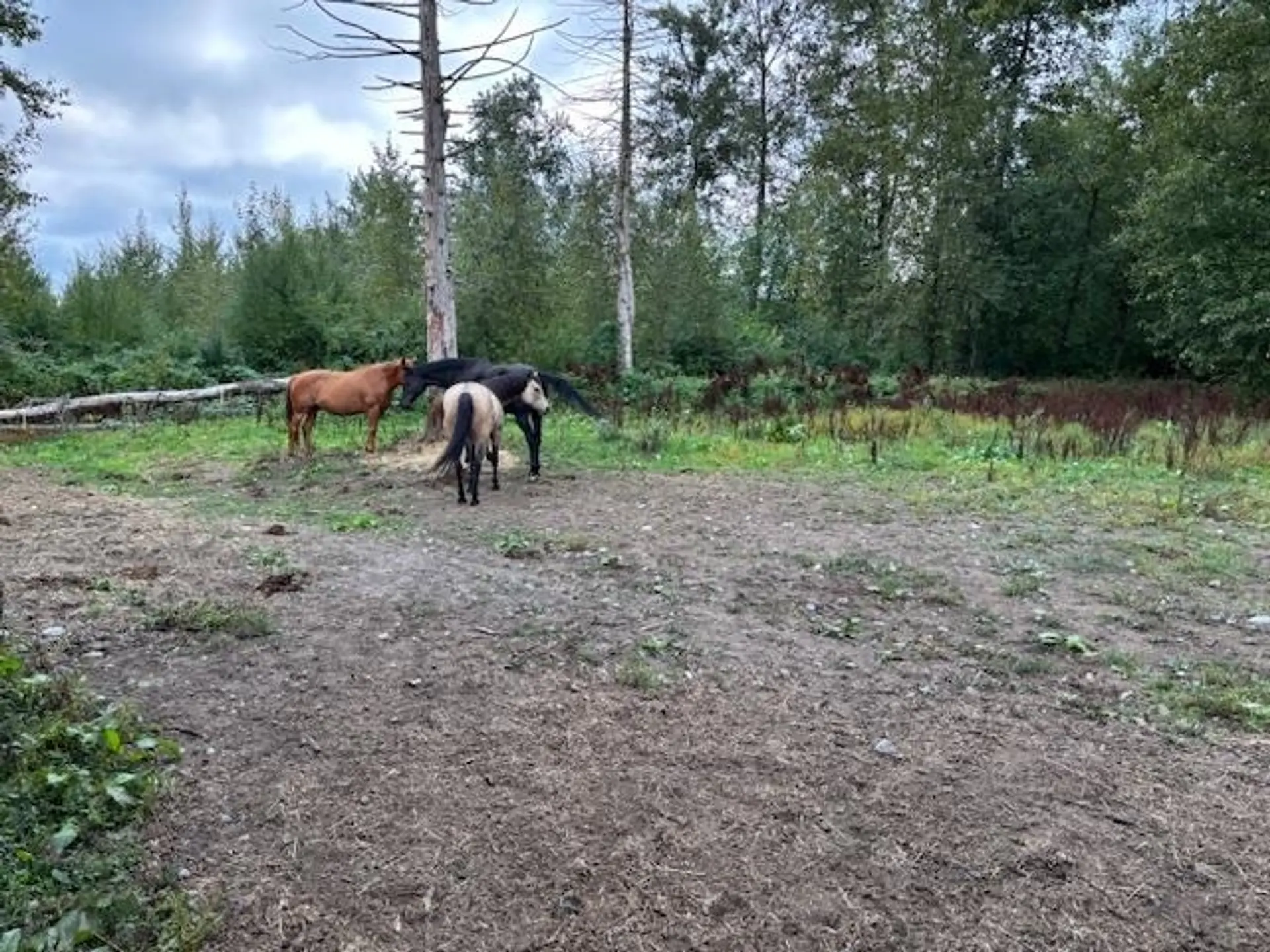 Property at 2617 208 STREET, Langley, BC