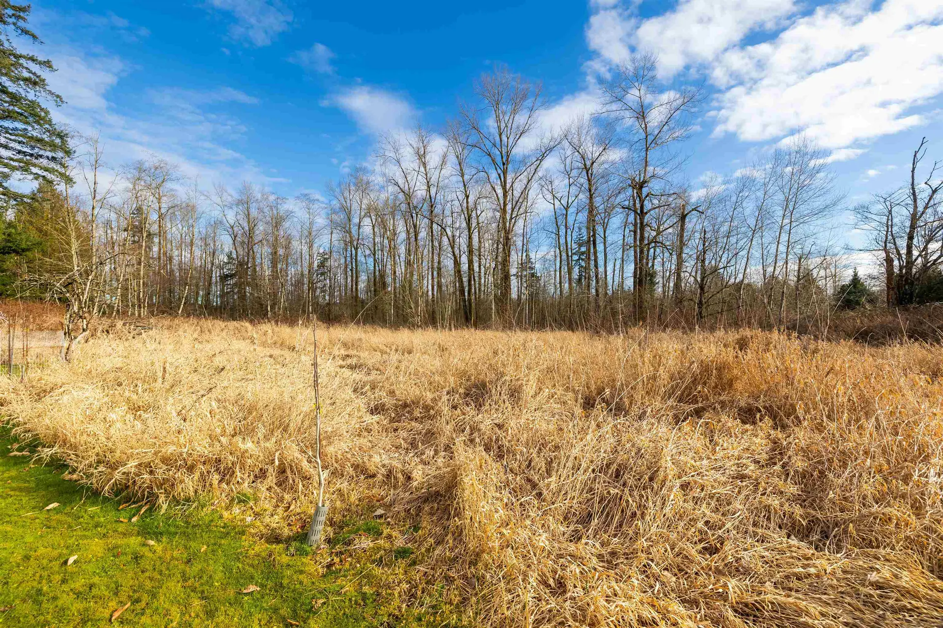 Property at 7380 198B STREET, Langley, BC