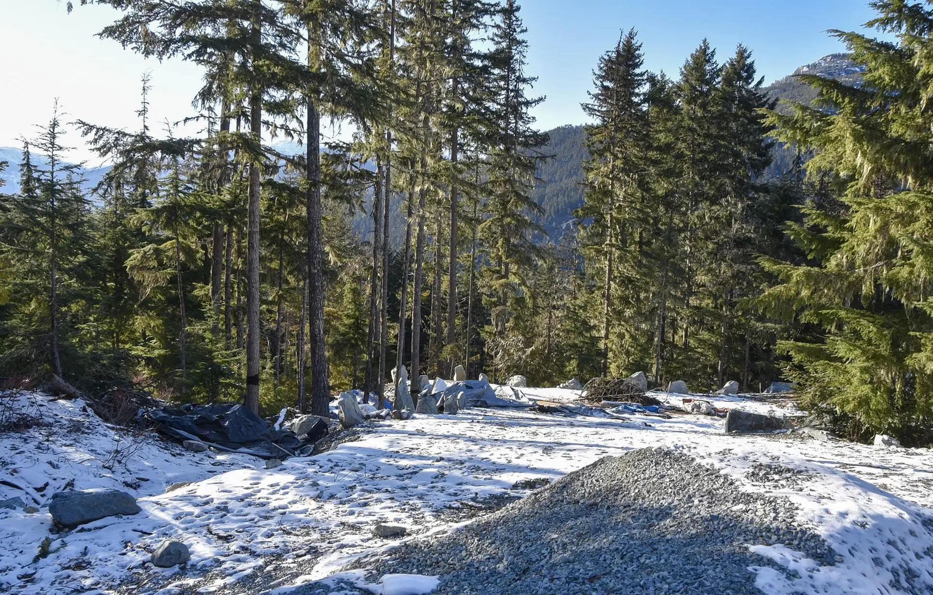 Property at 9325 WARBLER WAY, Whistler, BC