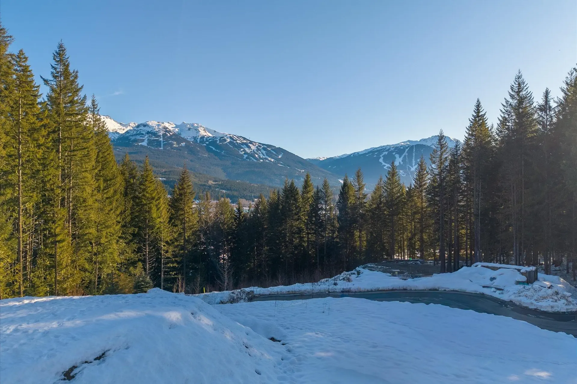 Property at 8611 MAELLE RICKER LANE, Whistler, BC