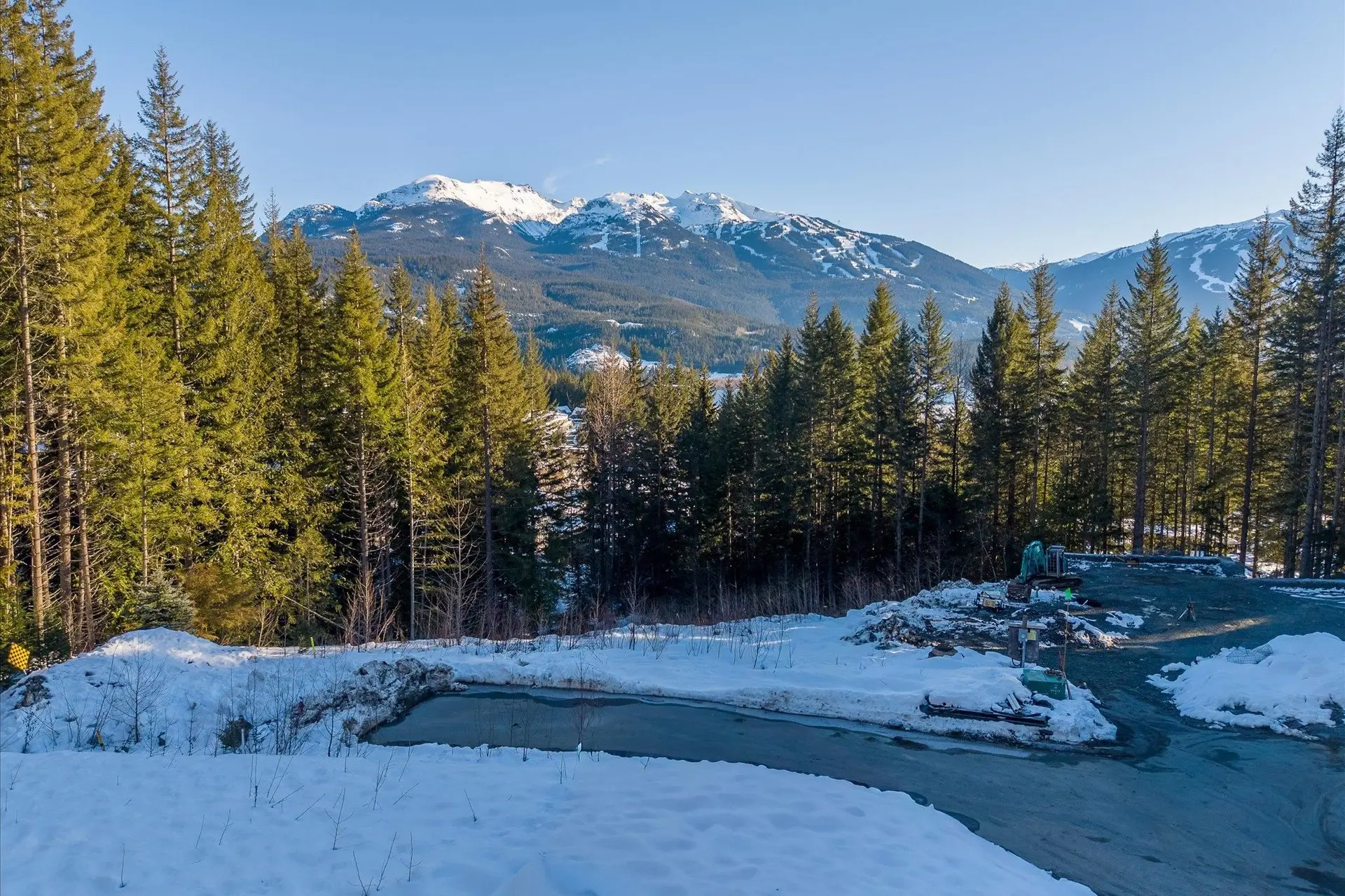 Property at 8611 MAELLE RICKER LANE, Whistler, BC