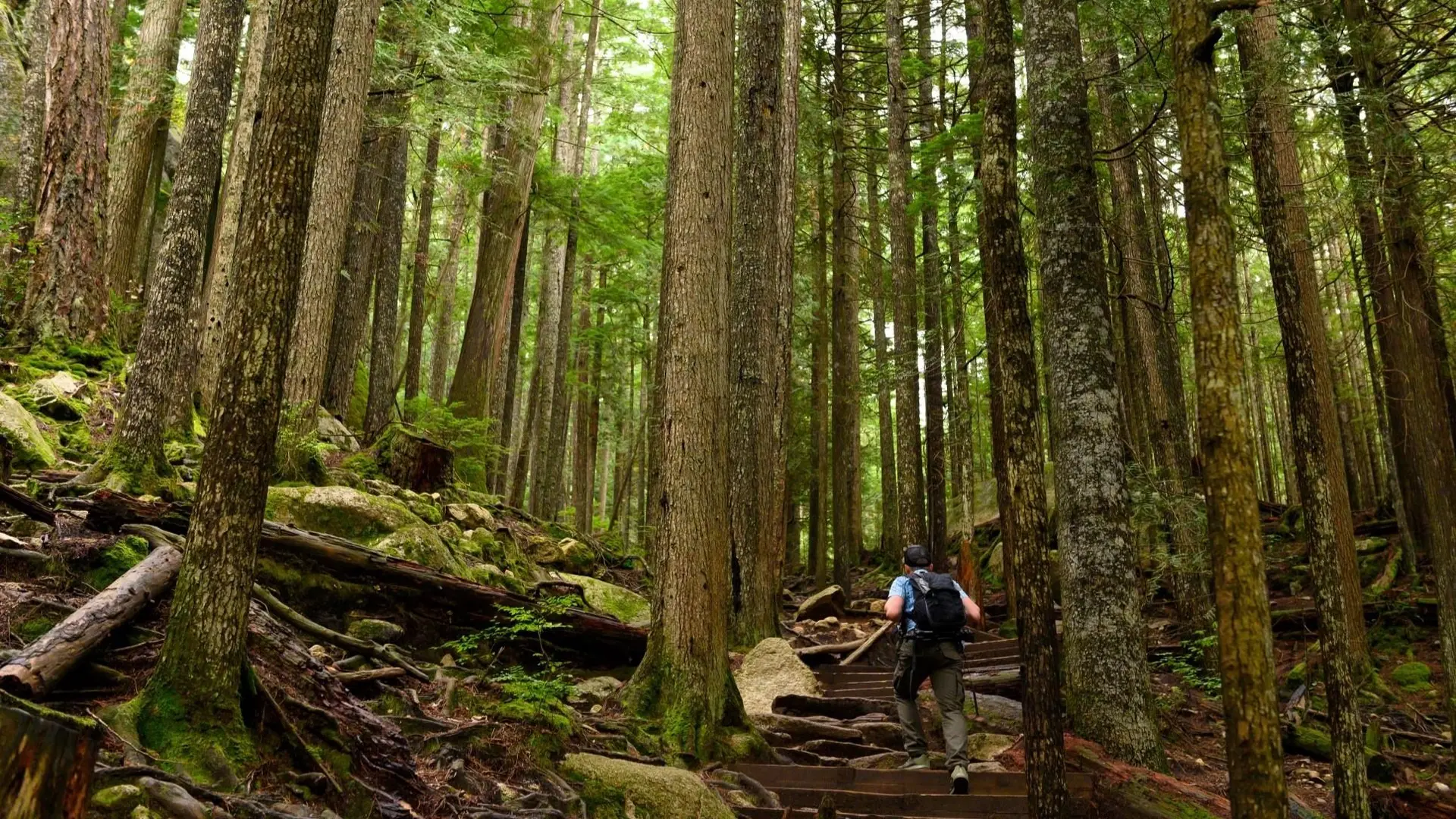 Property at 4731 SEA TO SKY HIGHWAY, Squamish, BC