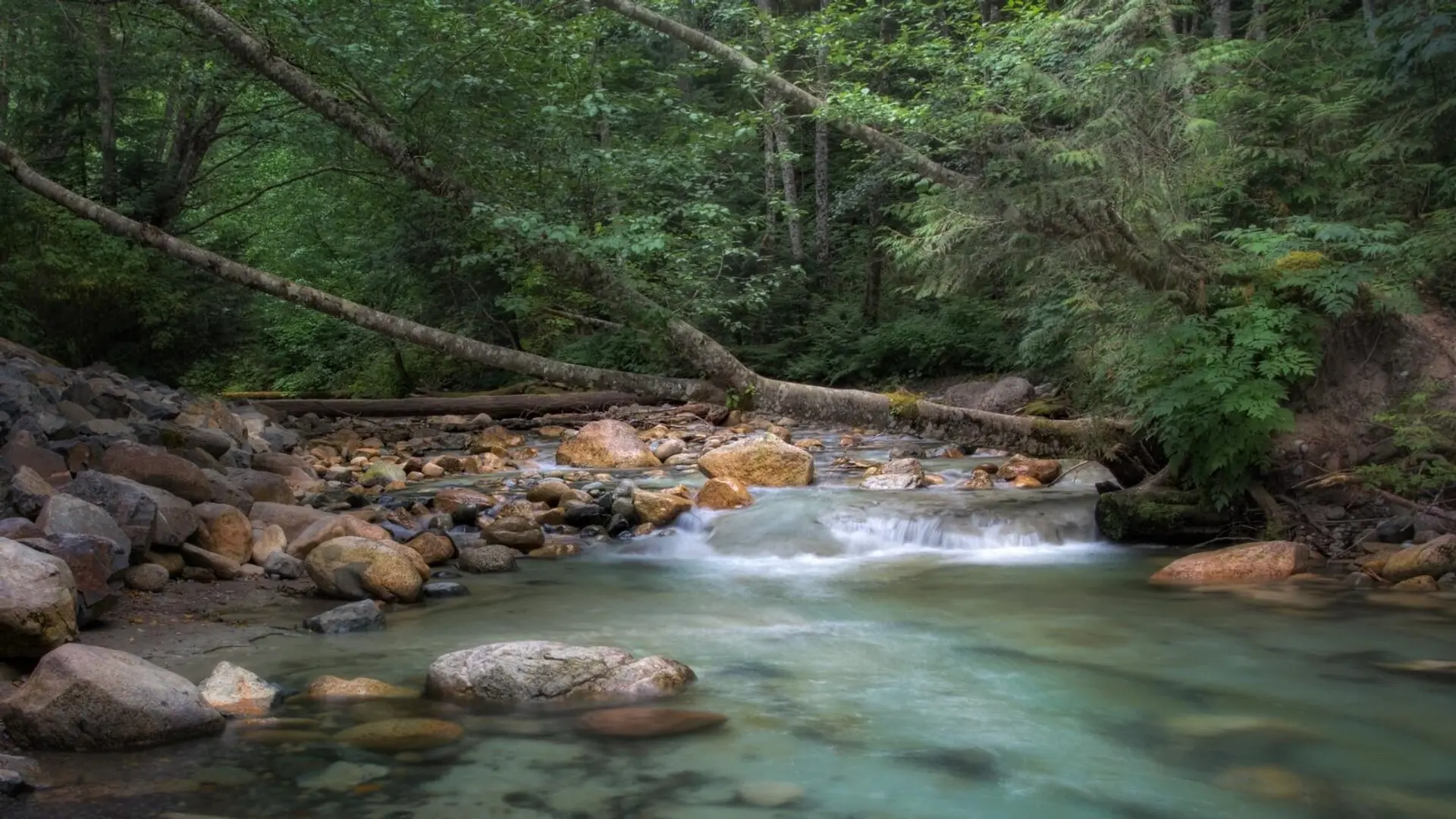 Property at 4731 SEA TO SKY HIGHWAY, Squamish, BC