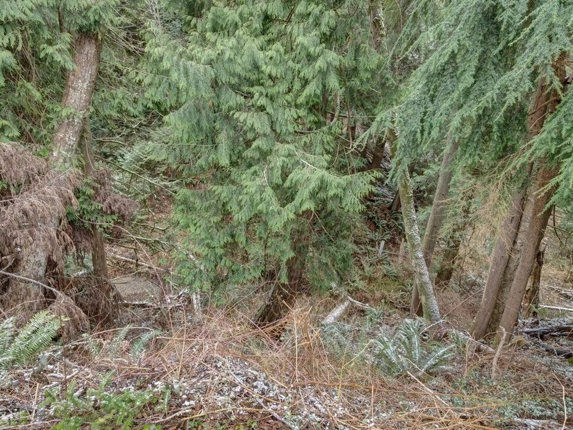 Property at #28 1413 SUNSHINE COAST HIGHWAY, Gibsons, BC