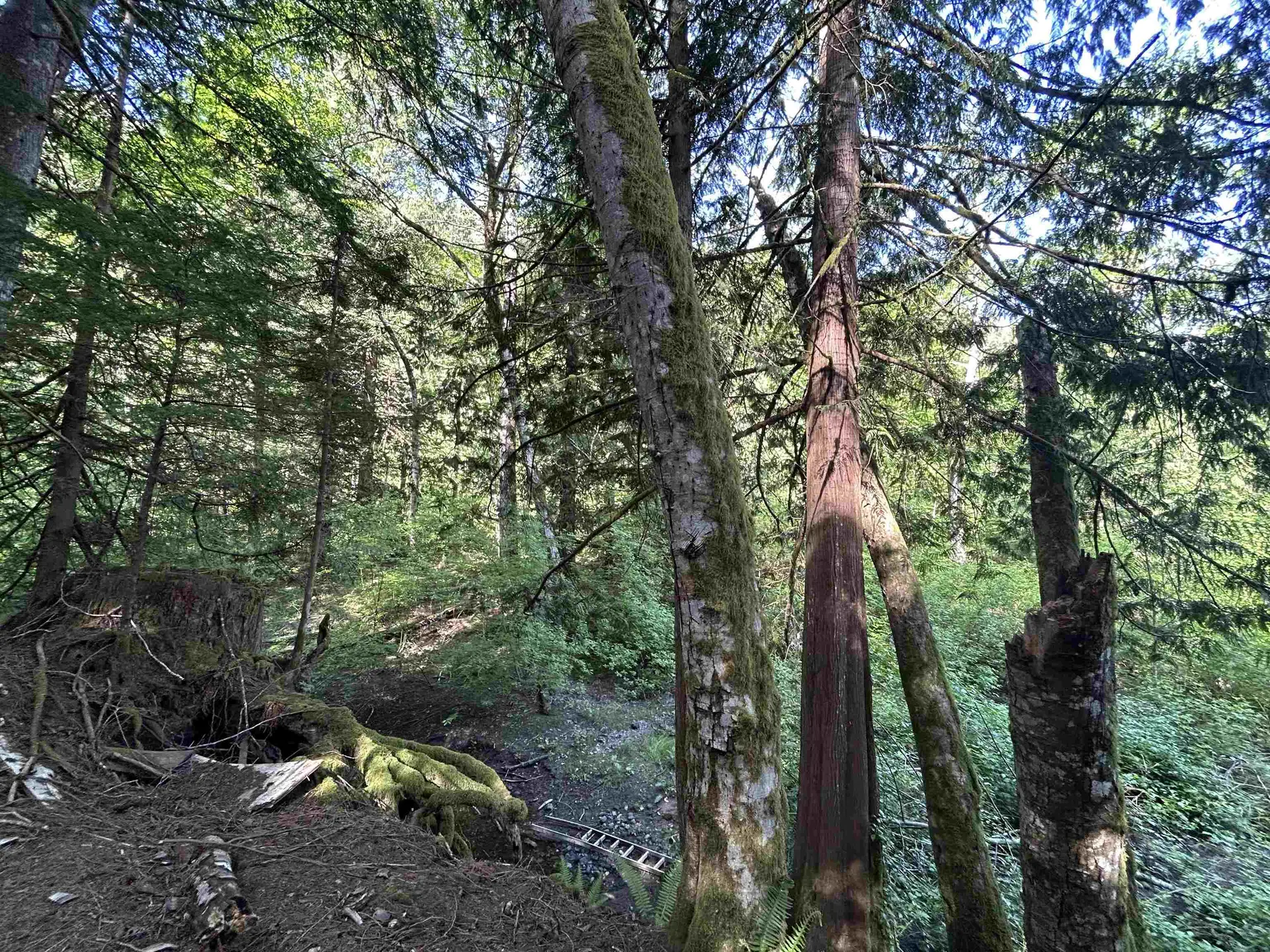 Property at 9063 PARADISE VALLEY ROAD, Squamish, BC