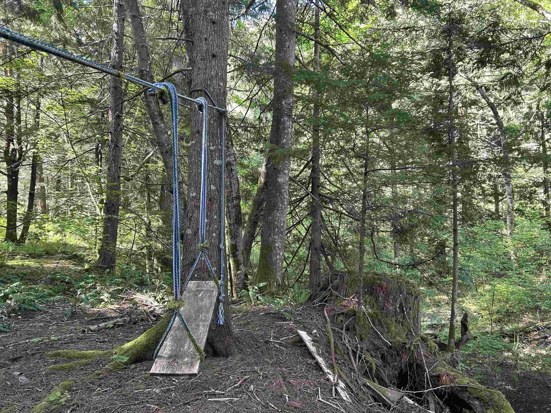 Property at 9063 PARADISE VALLEY ROAD, Squamish, BC