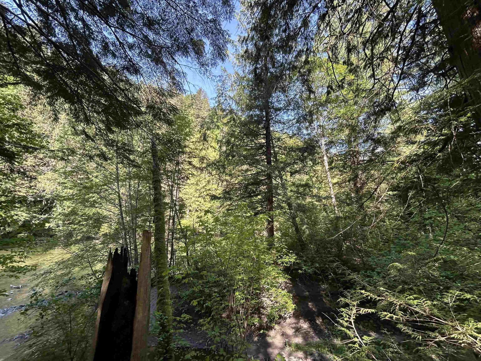 Property at 9063 PARADISE VALLEY ROAD, Squamish, BC